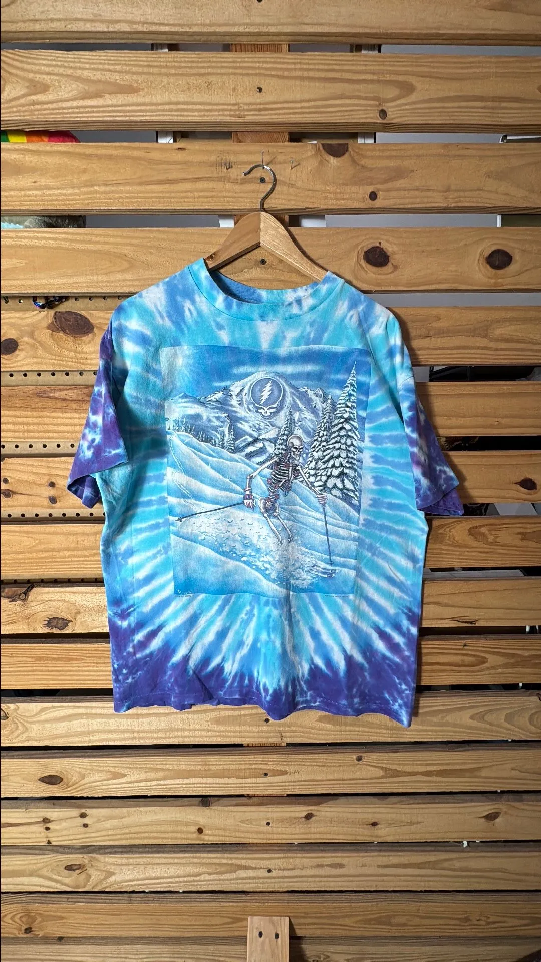 Product image for 11. GD 1995 Steal Ski XL 23x28