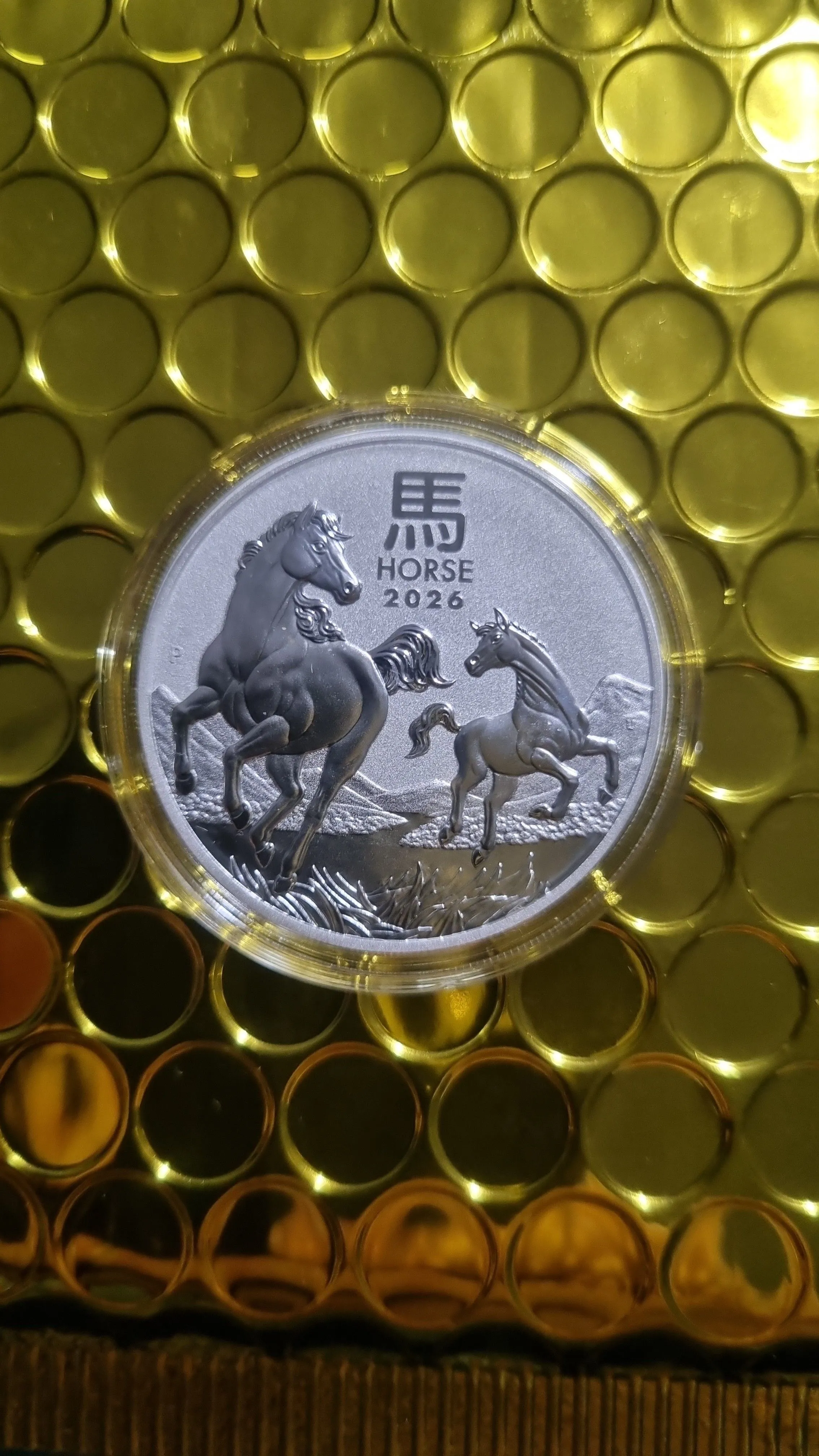 8c2e6918-41a3-4965-a208-022181b97b53