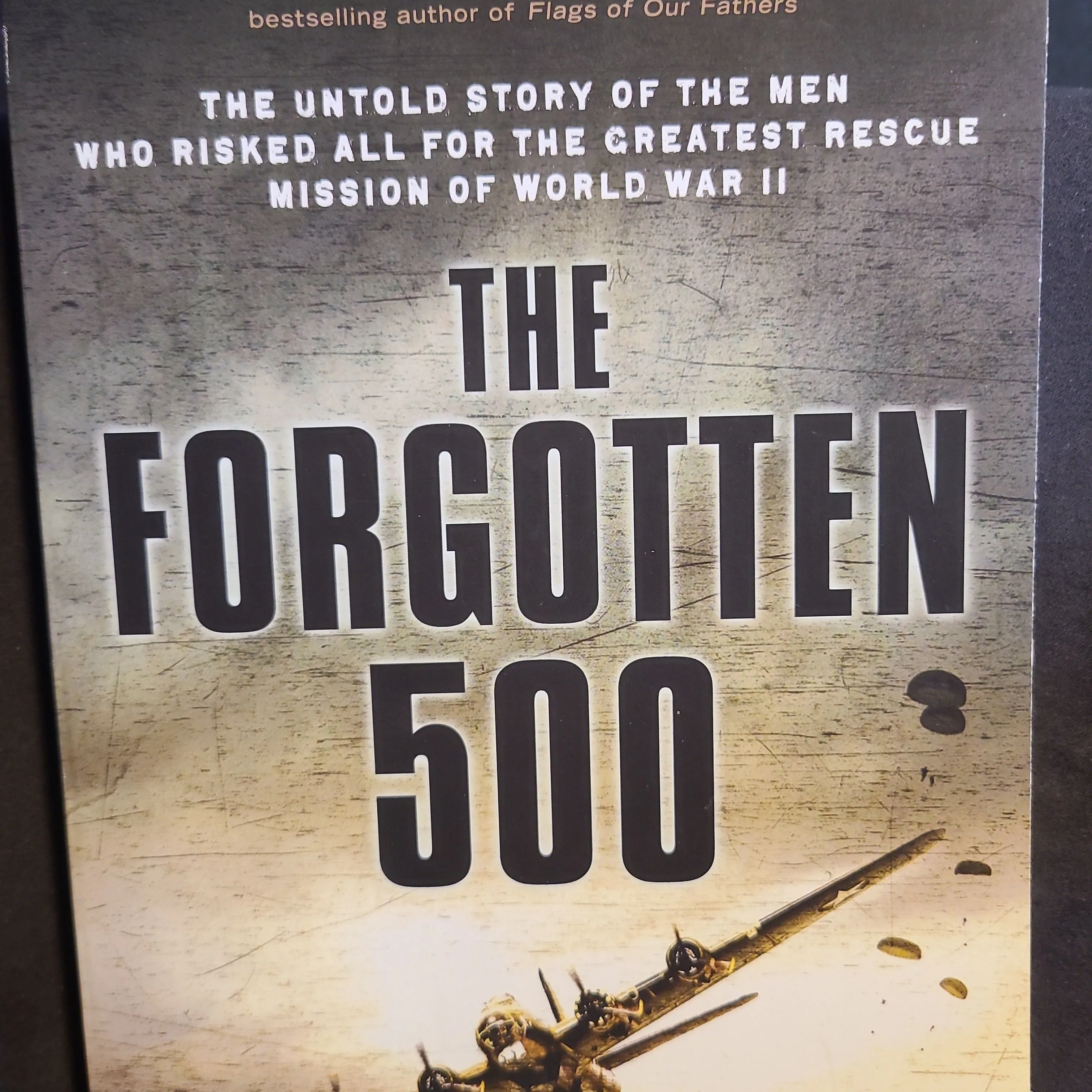 Product image for The Forgotten 500