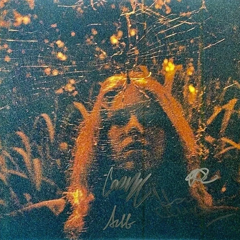 Product image for Turnover Peripheral Vision LP Clear Orange Autograph Signed Limited Edition 10th