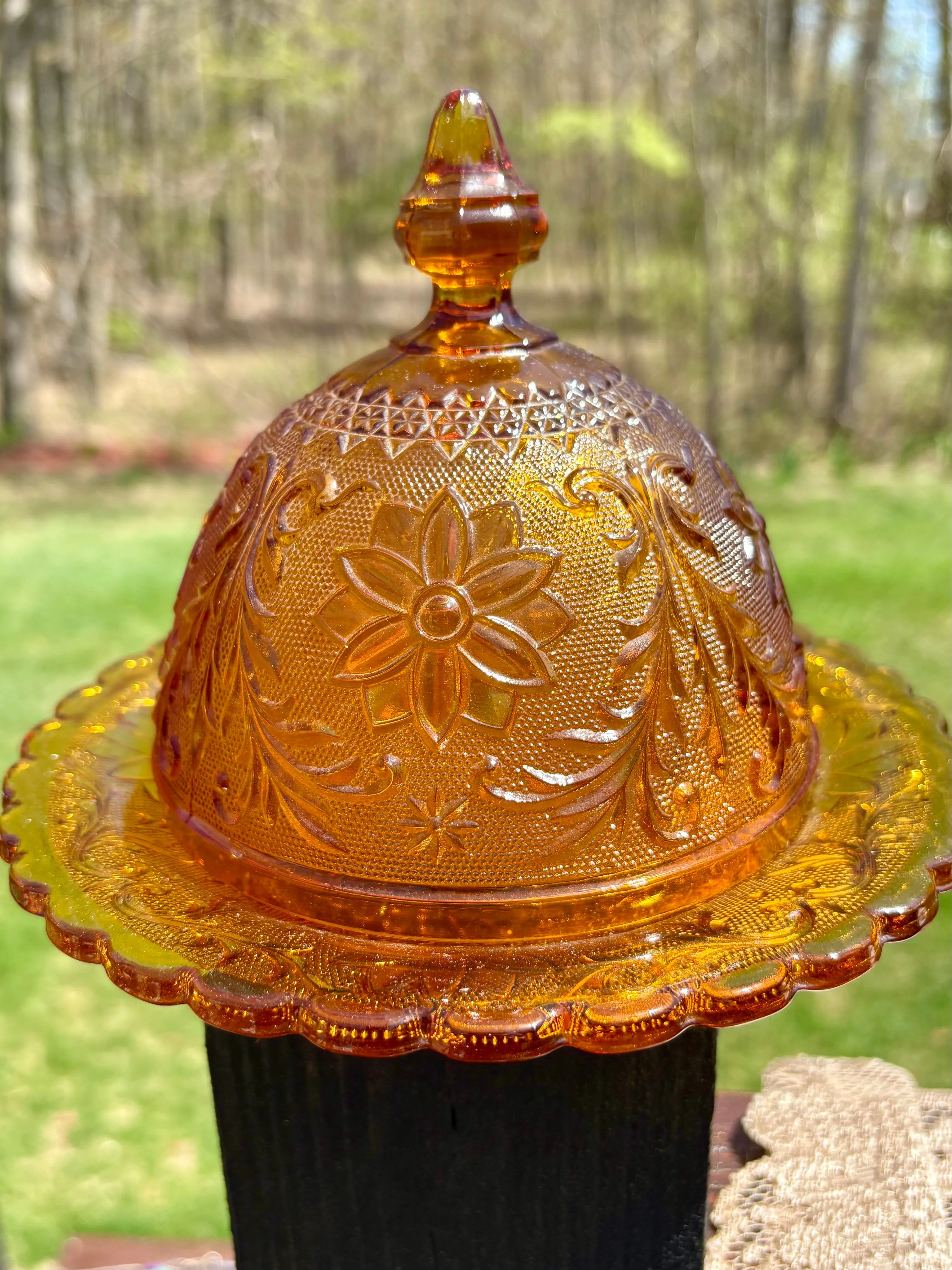 Product image for 55 Butter dish Amber