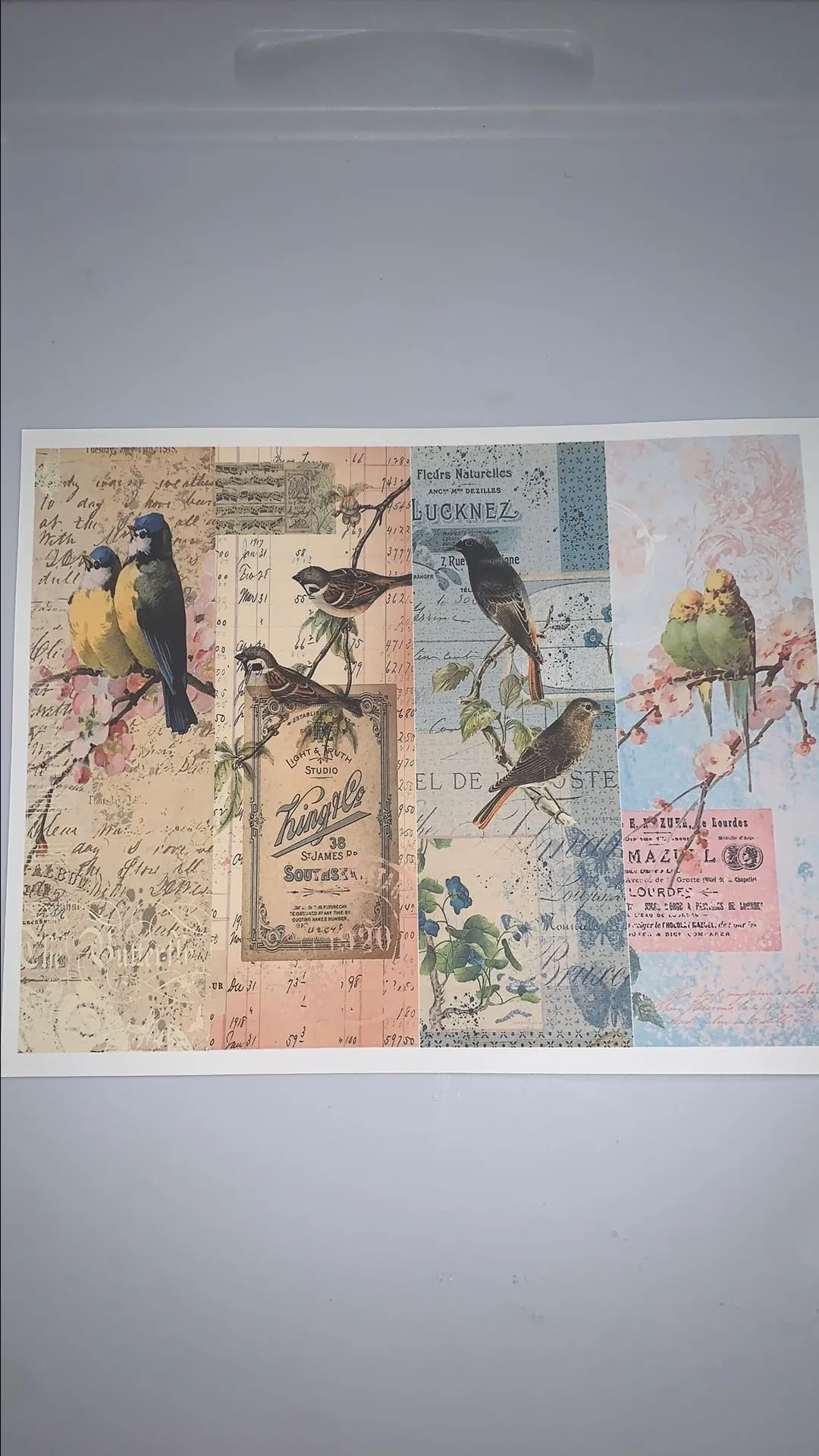 Product image for 00. Birds Printable #47