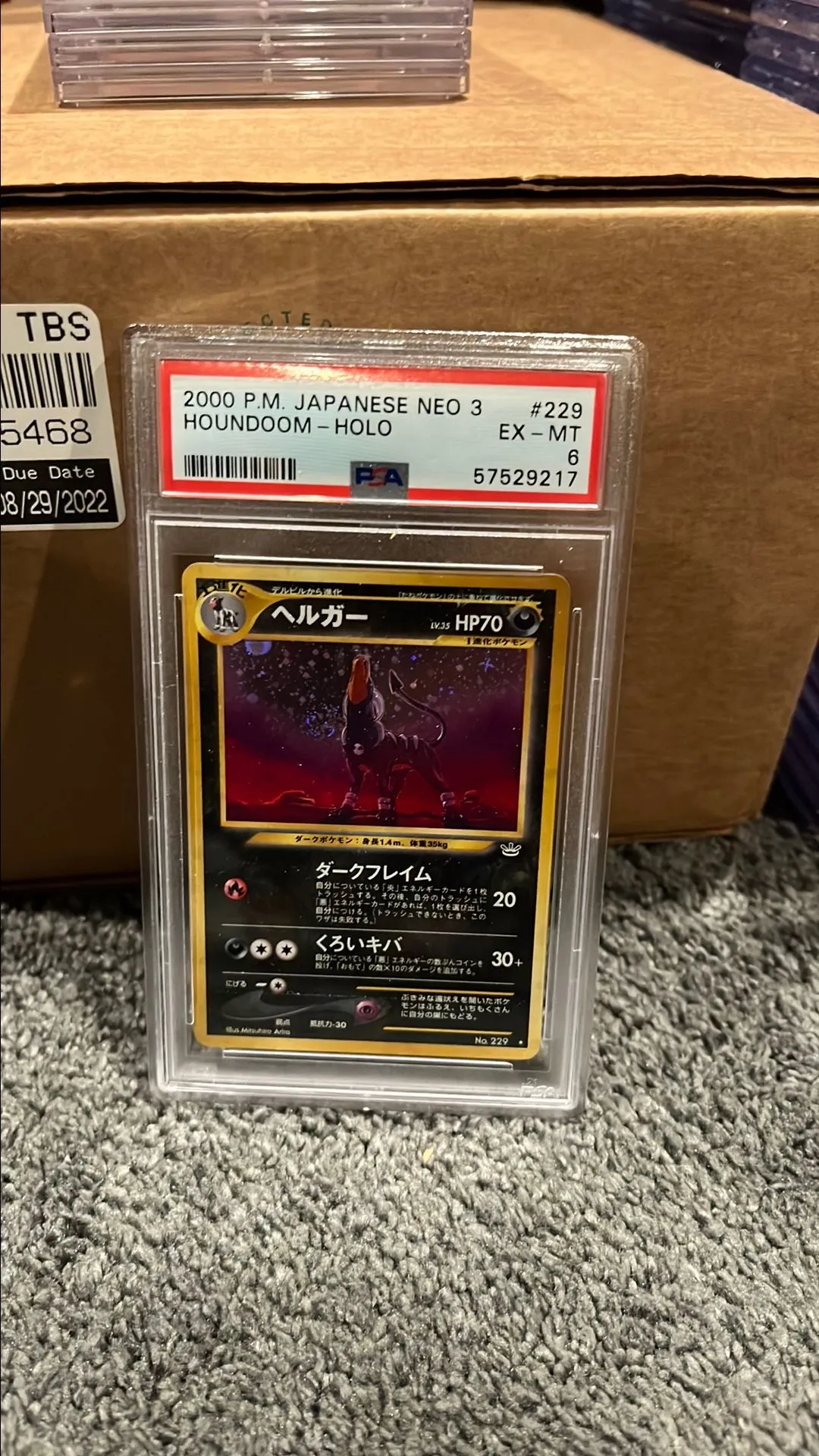 Product image for Houndoom holo