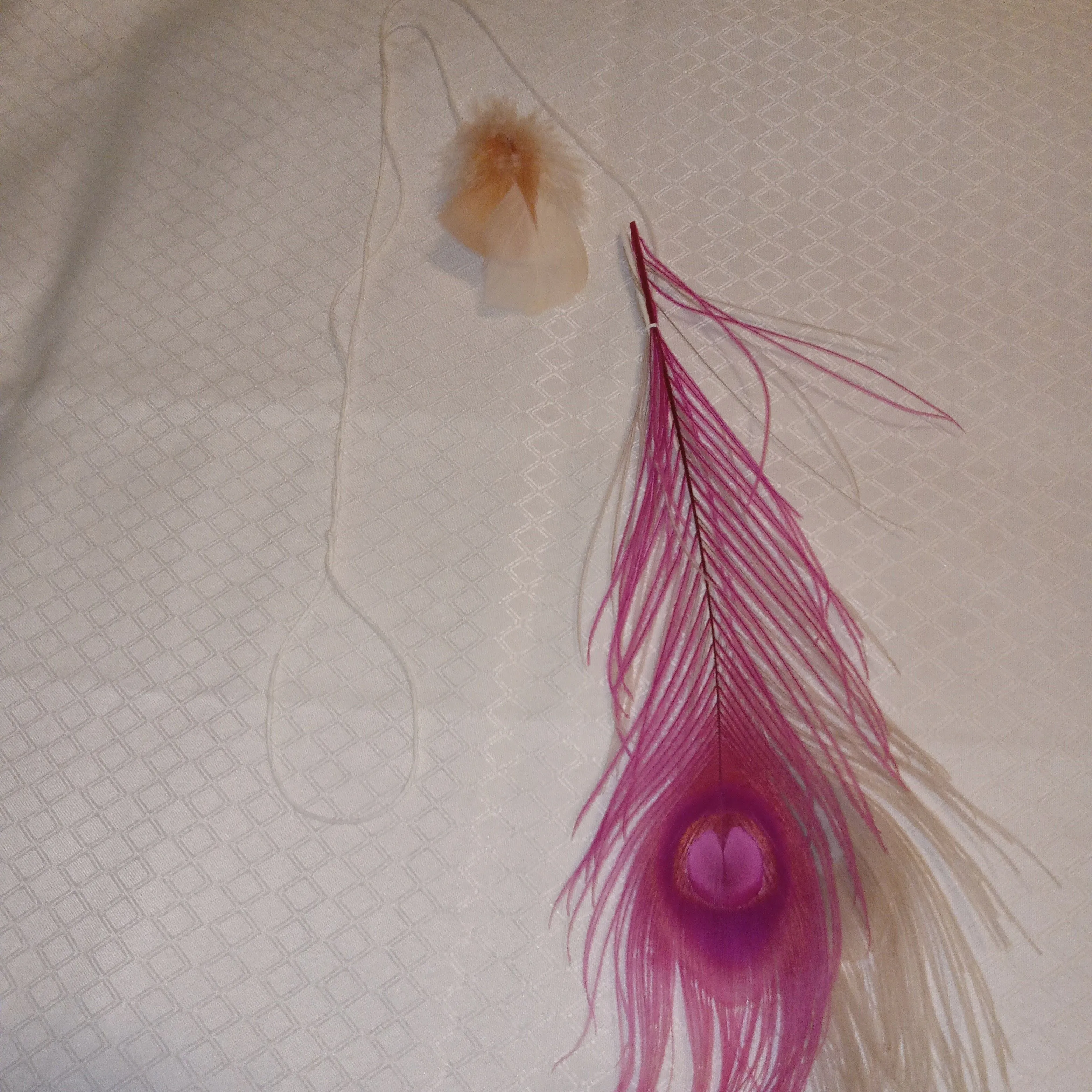 Product image for Feather Cat Toy Long Peacock Feathers & Smaller Natural Feathers Handcrafted New