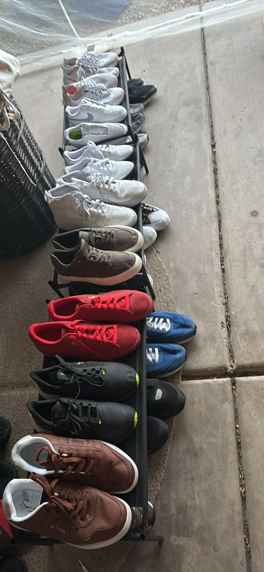 Product image for Sneaker Head