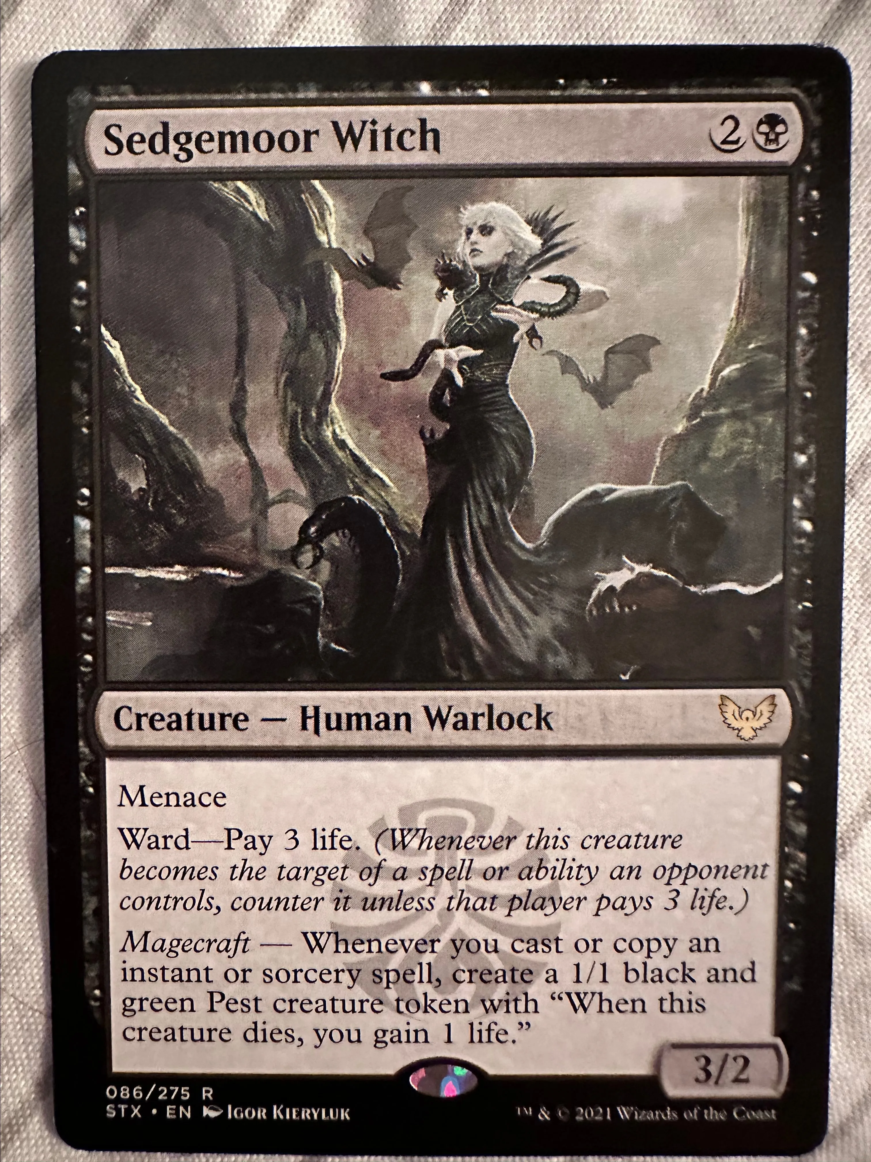 Product image for Sedgemoor Witch