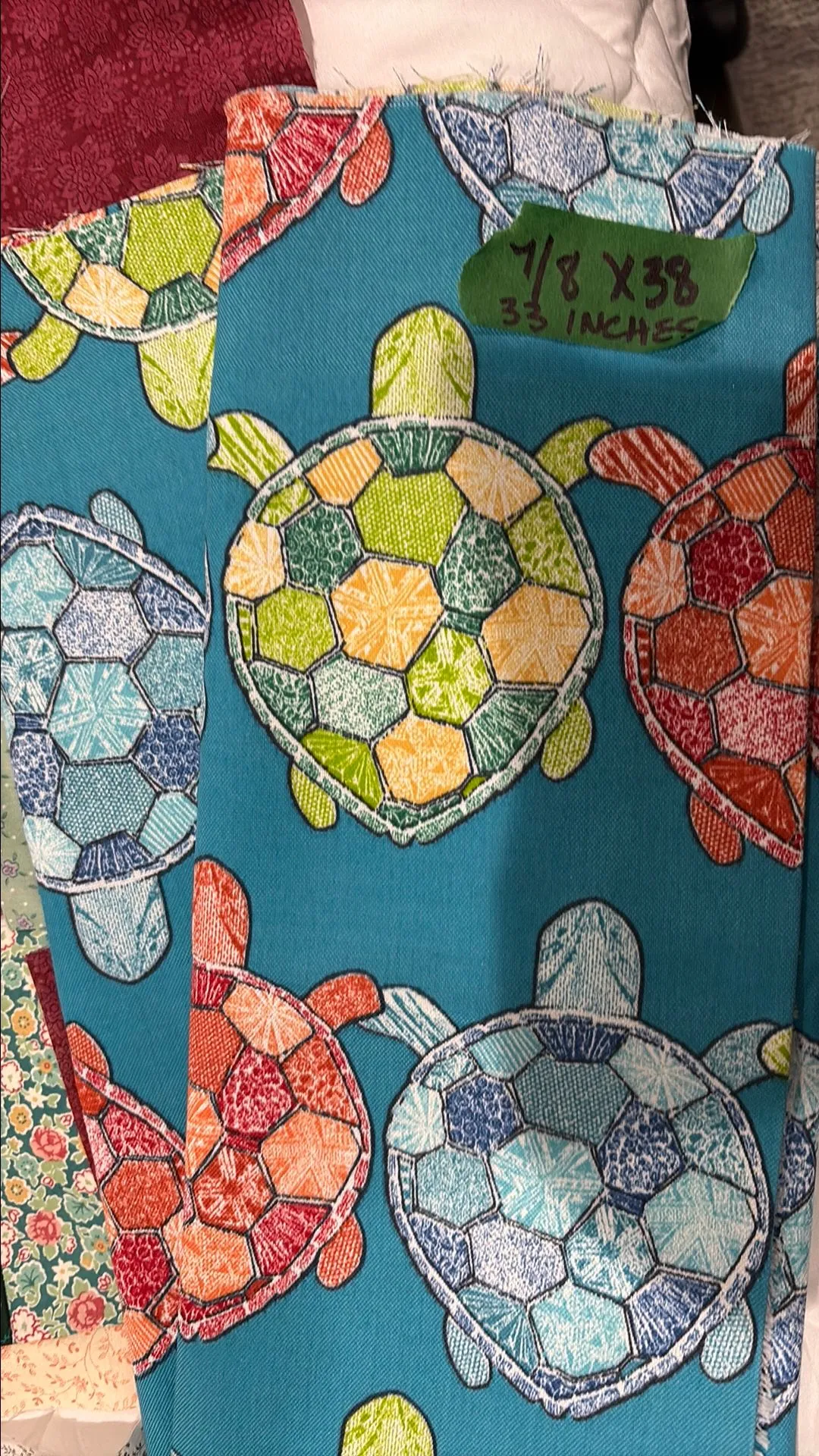 Product image for Canvas  Turtles on turquoise background