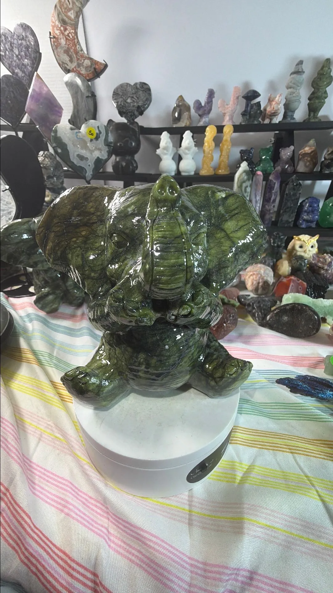 926f2e40-3c5d-48b0-a7f4-33d50bb0e03e