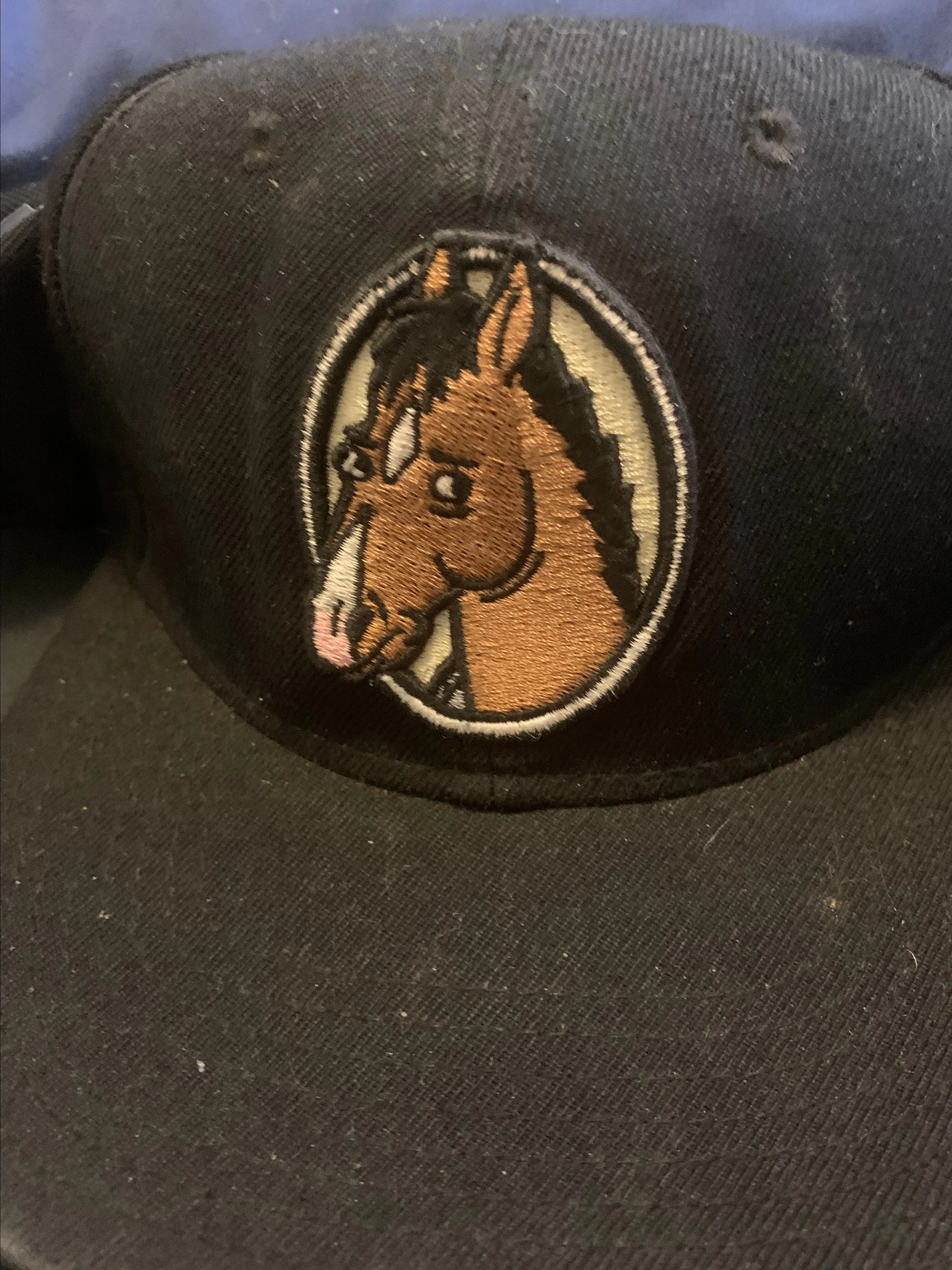 Product image for BoJack Horseman Baseball Cap 2014