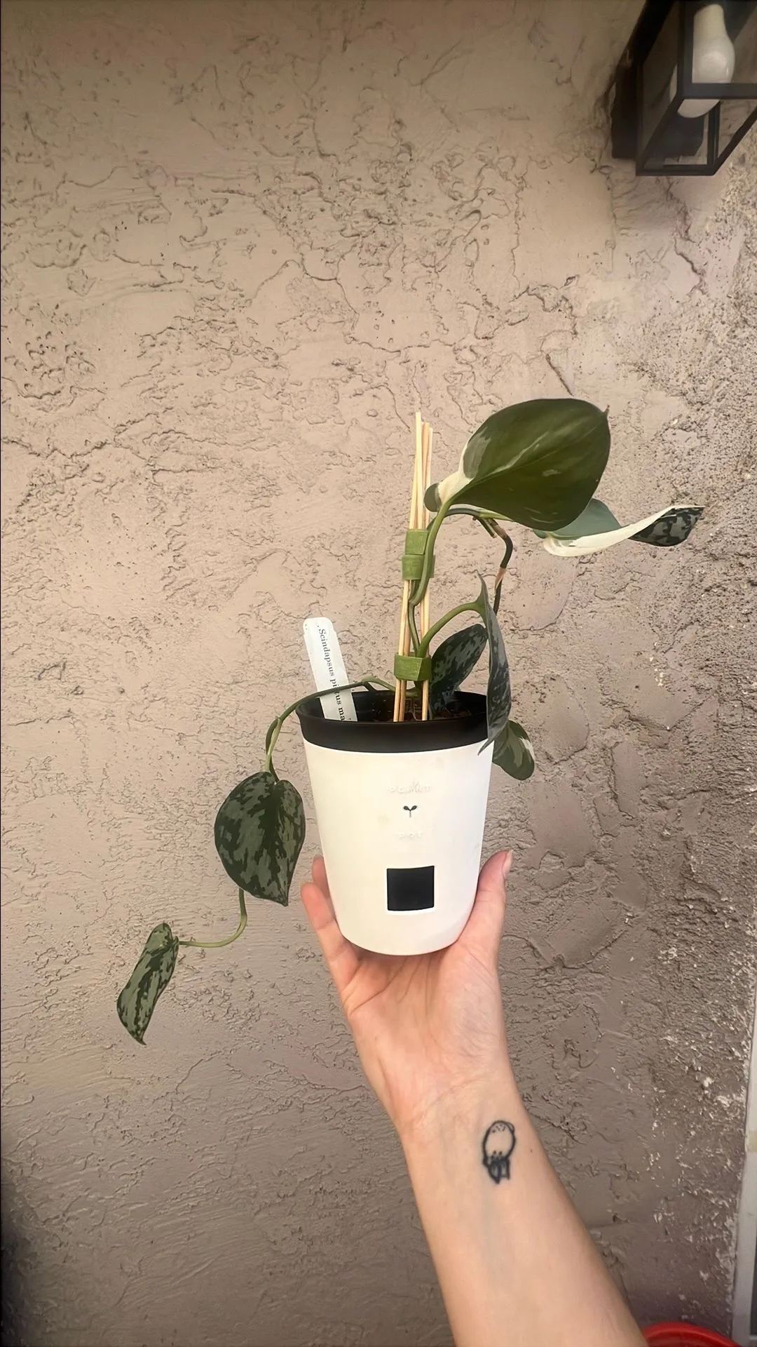 92bb2a94-6df5-4e4a-b601-01e5dfe04878