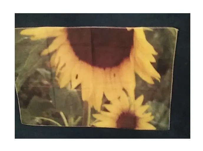 Product image for Tapestry Flowers From My Garden 2 Sunflowers Photo 24" x 16" New