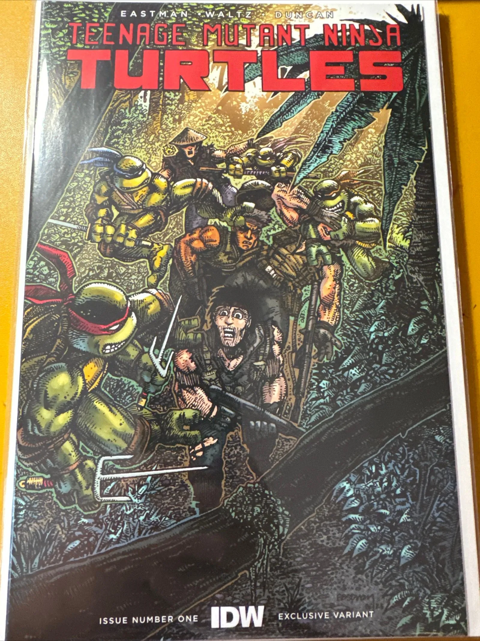 Product image for TMNT Martial Arts Kevin Eastman Cover
