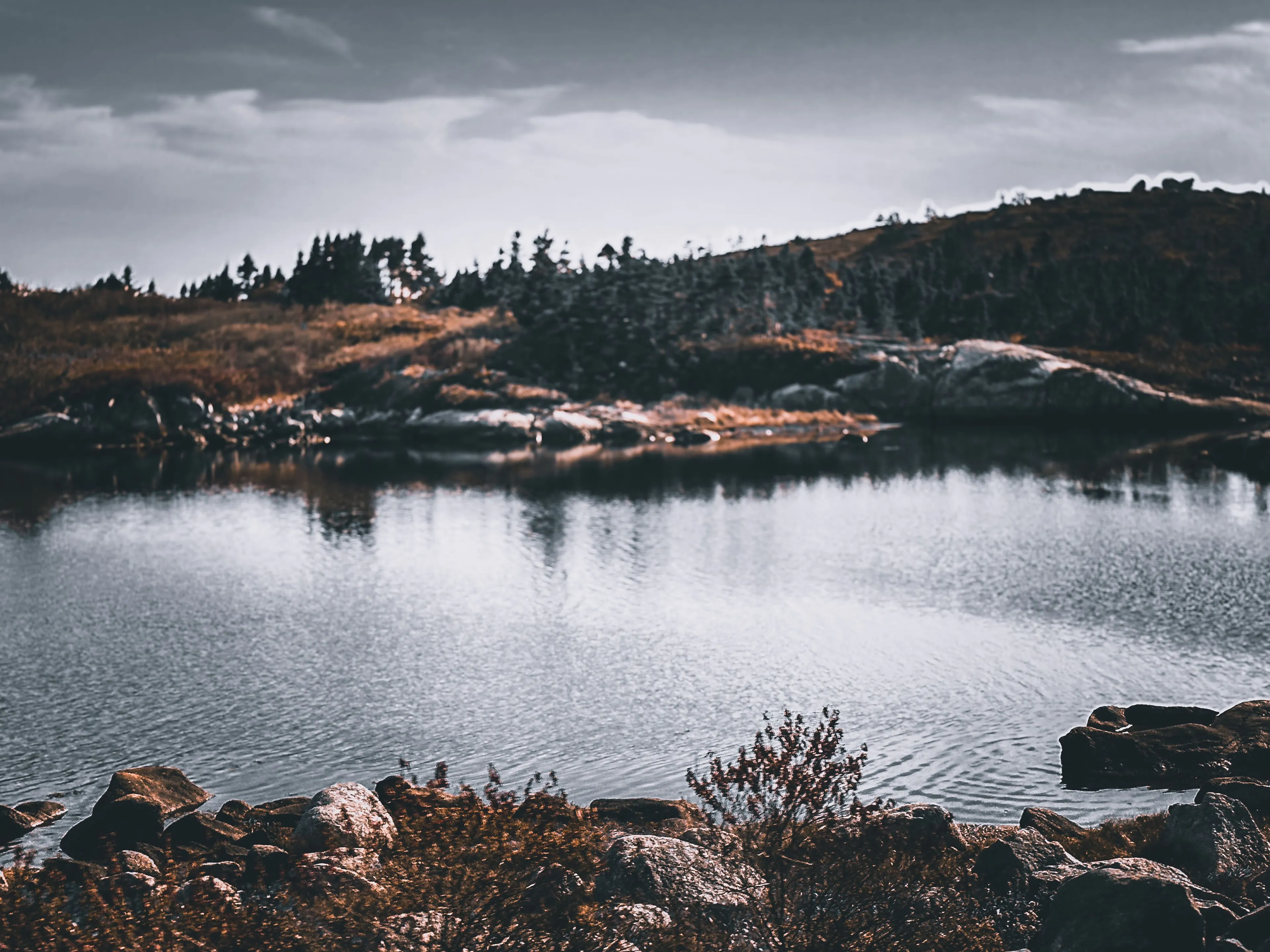 Product image for The Gazing Pool - Photography Print