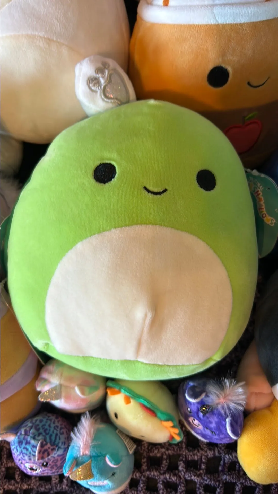 Product image for 8in Turtle Henry