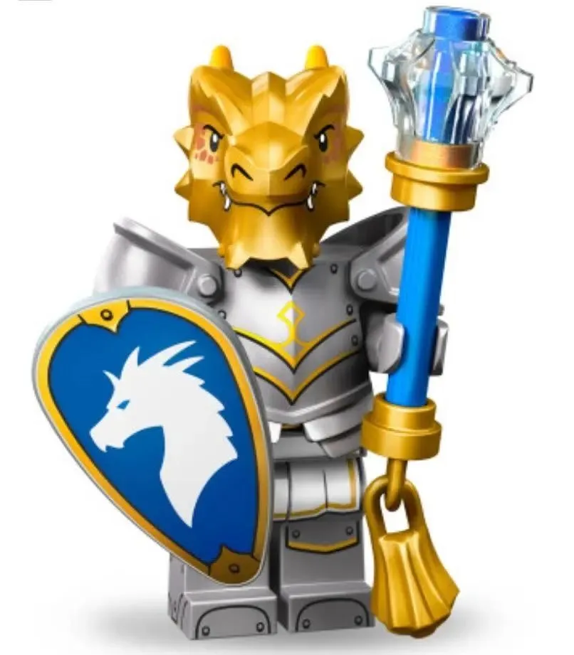 Product image for Dragonborn Paladin