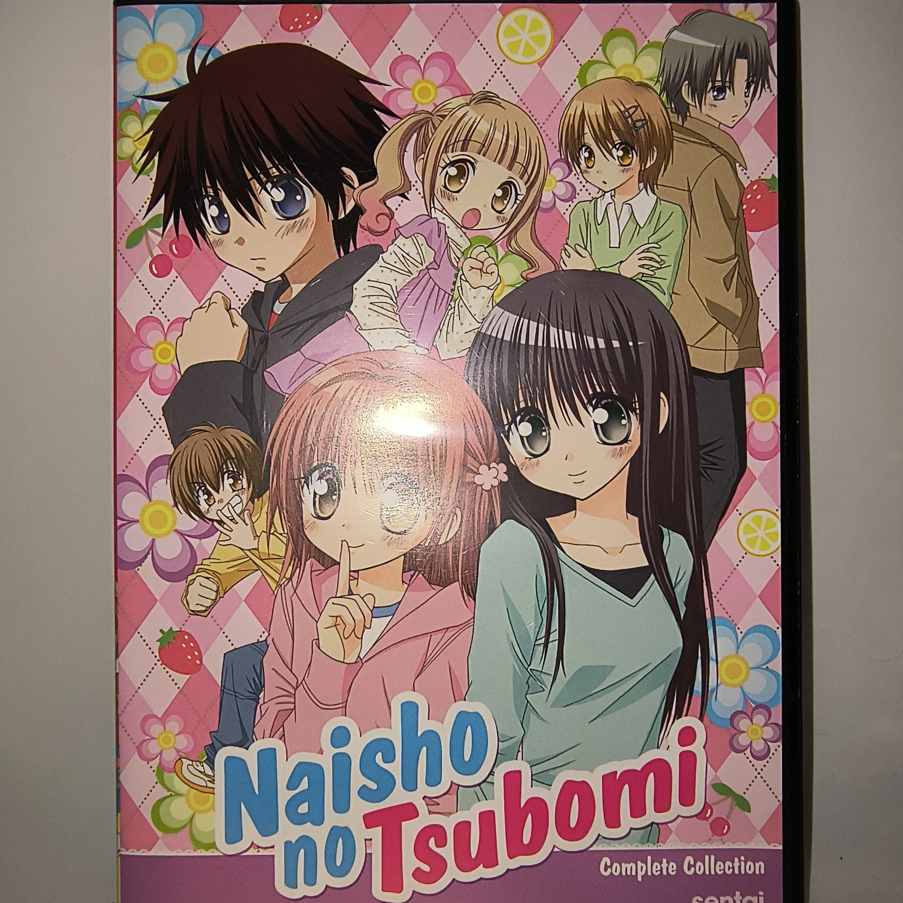 Product image for Naisho No Tsubomi Complete Series Collection (DVD)