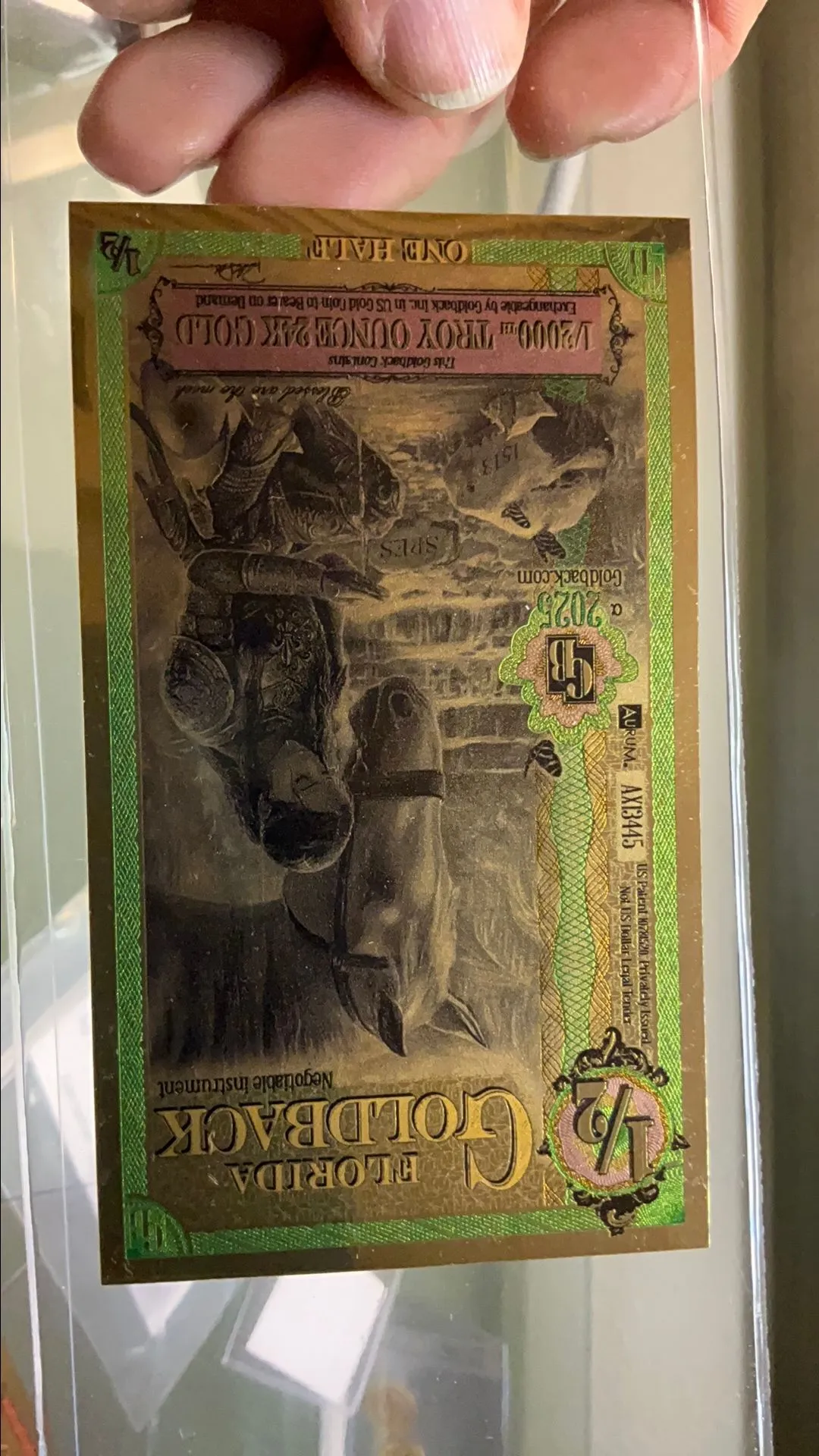 Product image for 1/2 GOLD BACK FLORIDA HALF