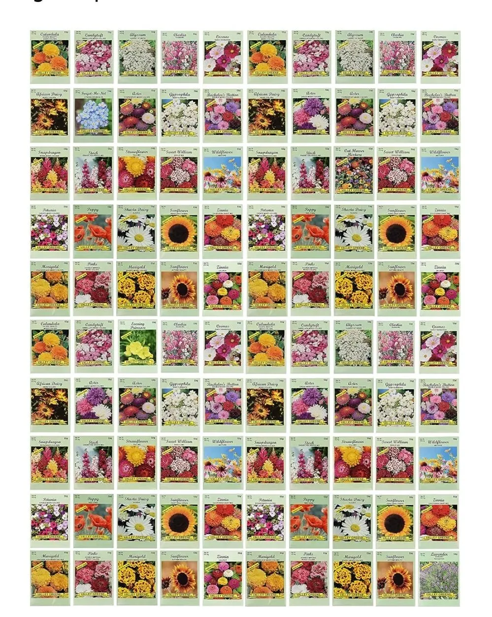 953d5212-c932-44ef-aced-e62eedec8e4b