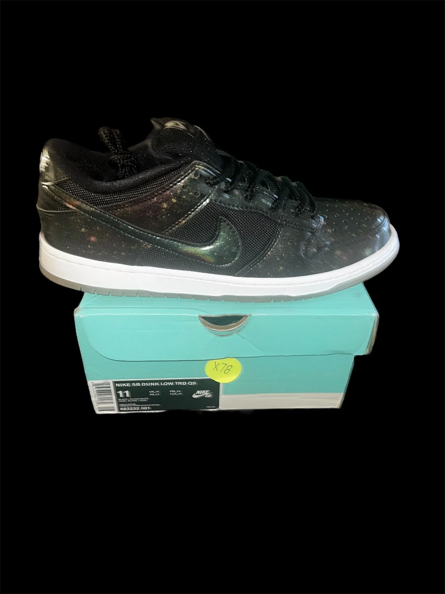 Size 11m Nike SB Dunk Low 