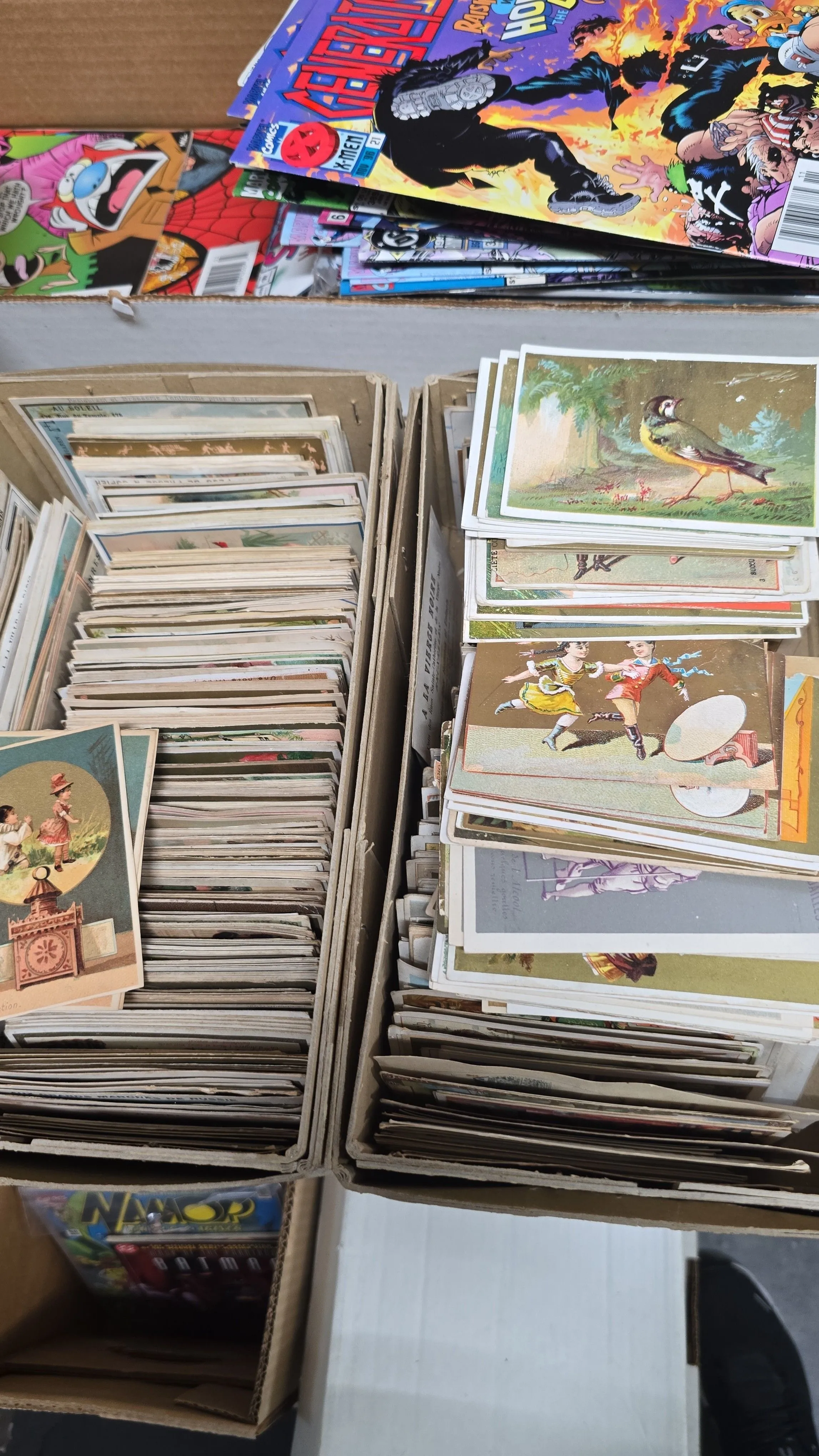 Product image for ephemera random 