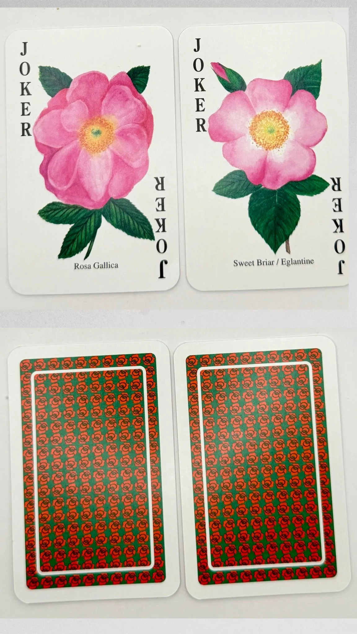 962519ad-e08e-4878-b5b1-a73e98f0c8ef
