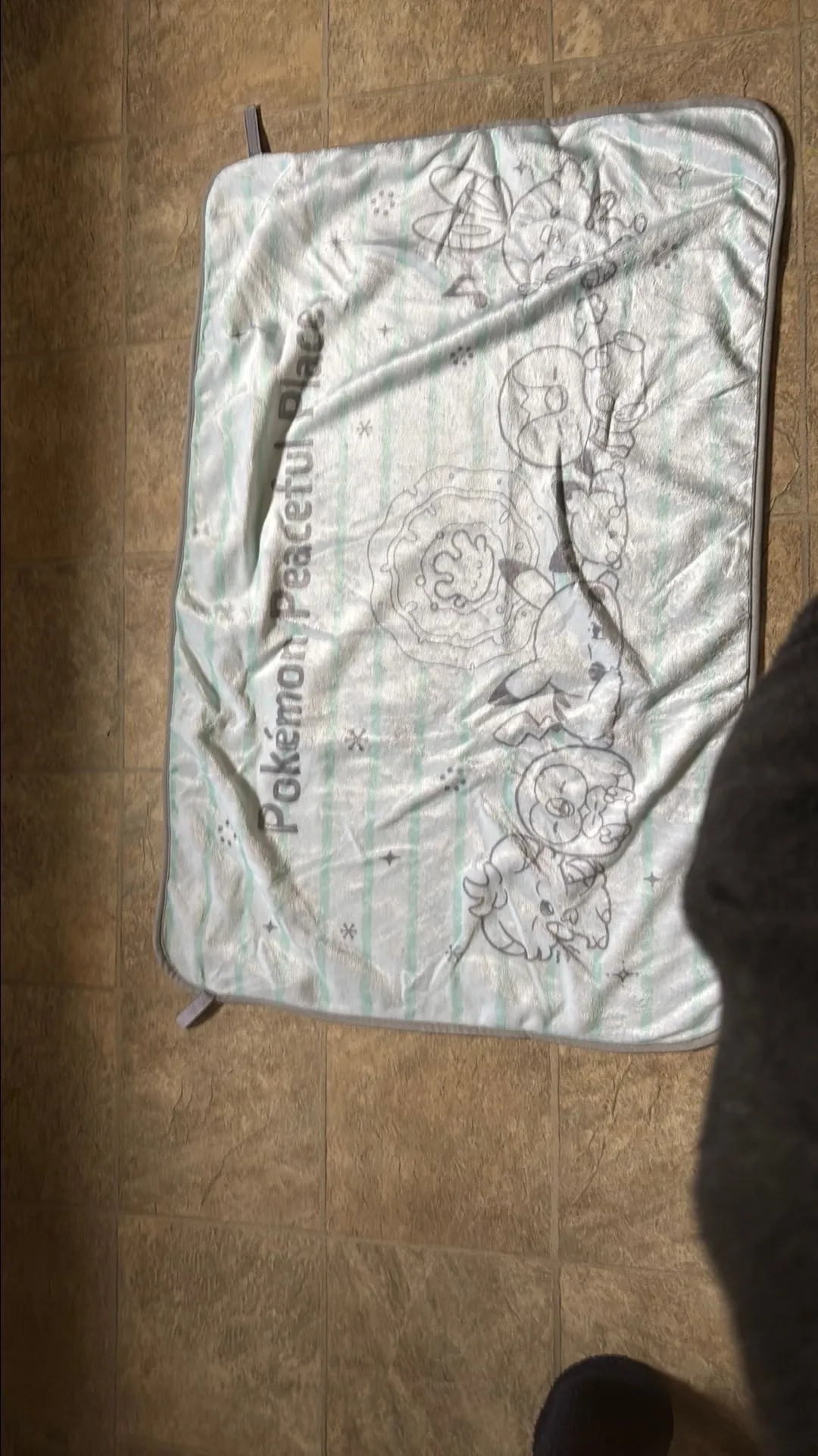 Product image for Peaceful place Pokémon blanket