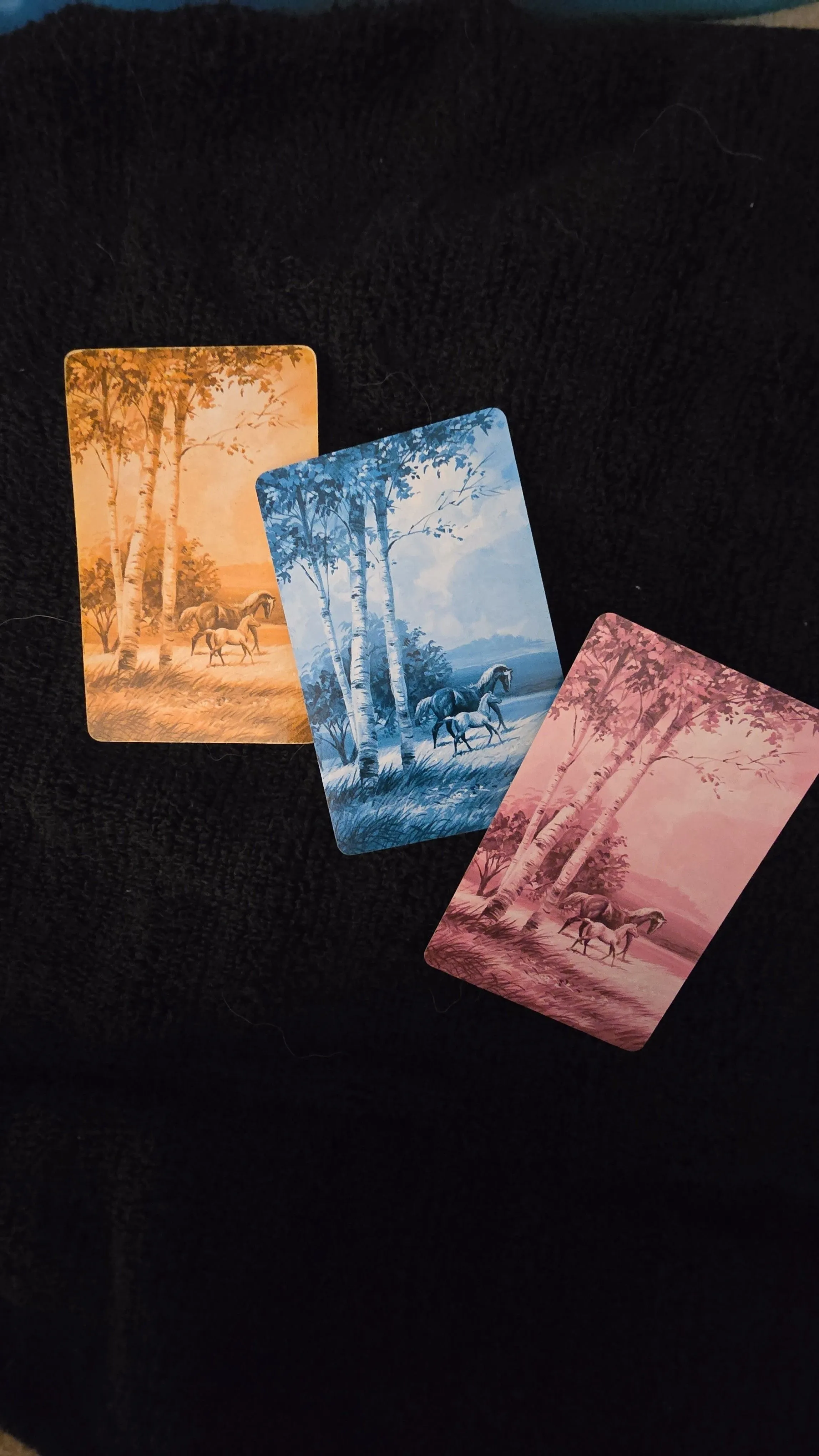 96fdc72d-459b-4ffd-9e9b-98f5f7f86e3c