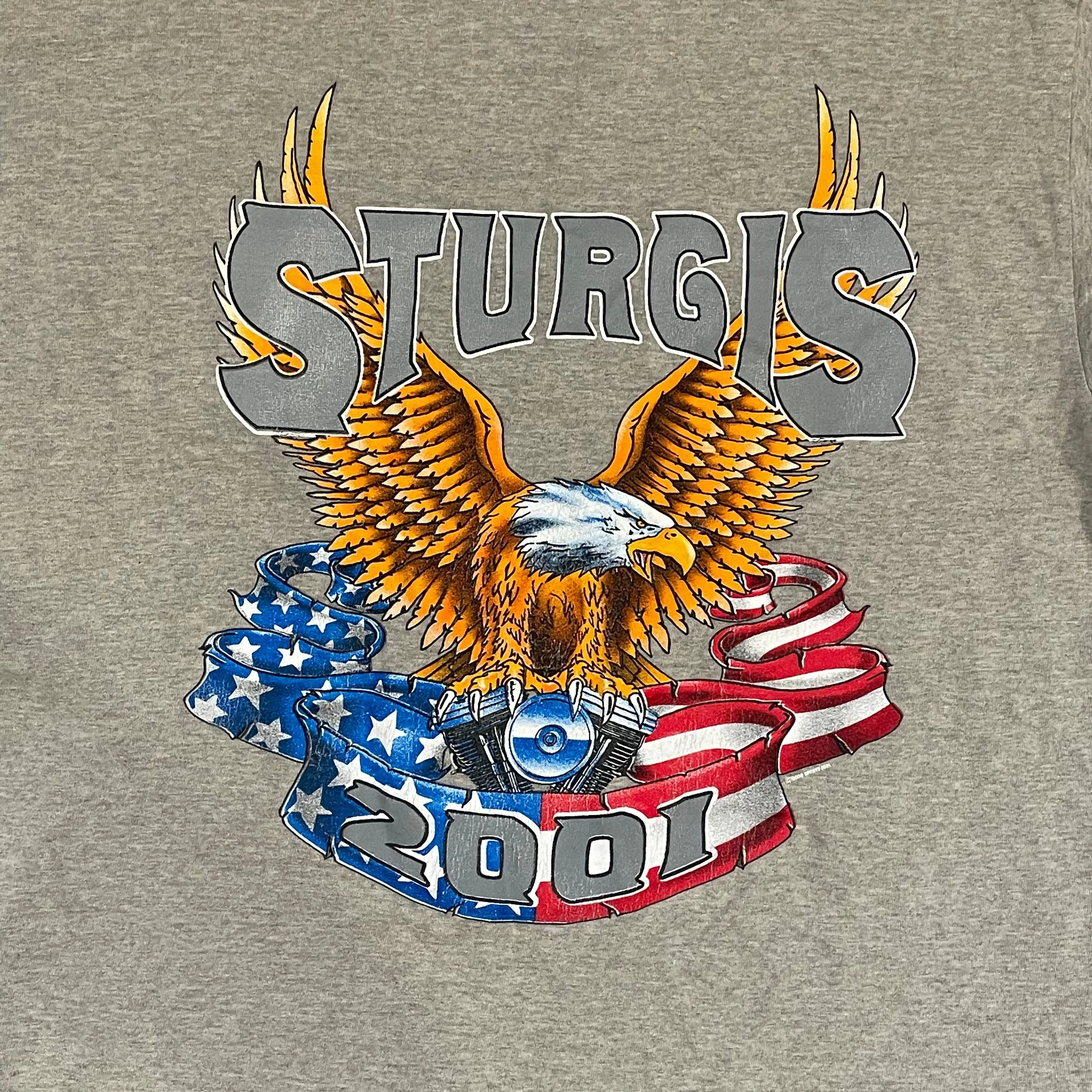 Product image for 2001 Sturgis South Dakota