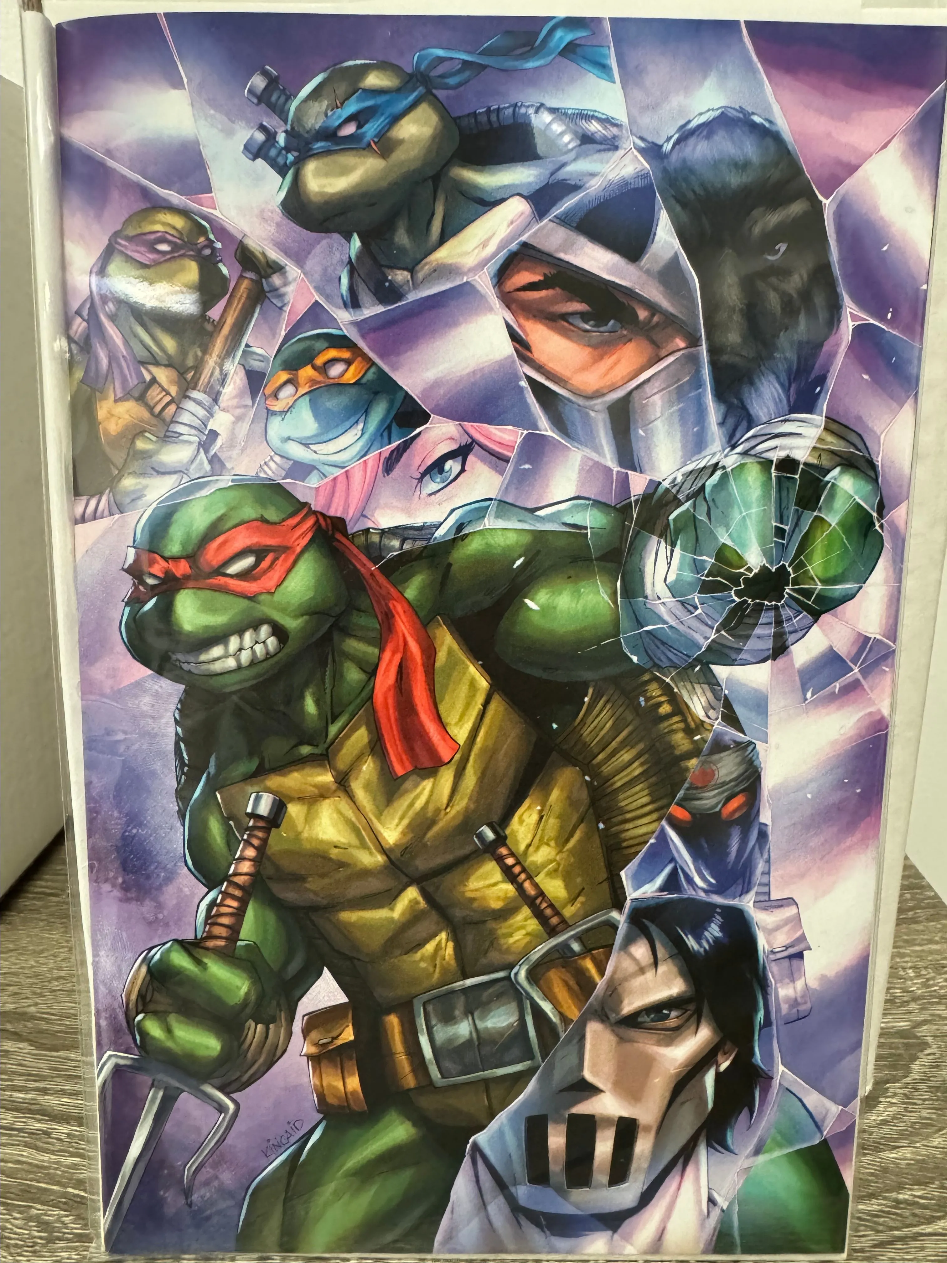 Product image for TMNT 6 Virgin