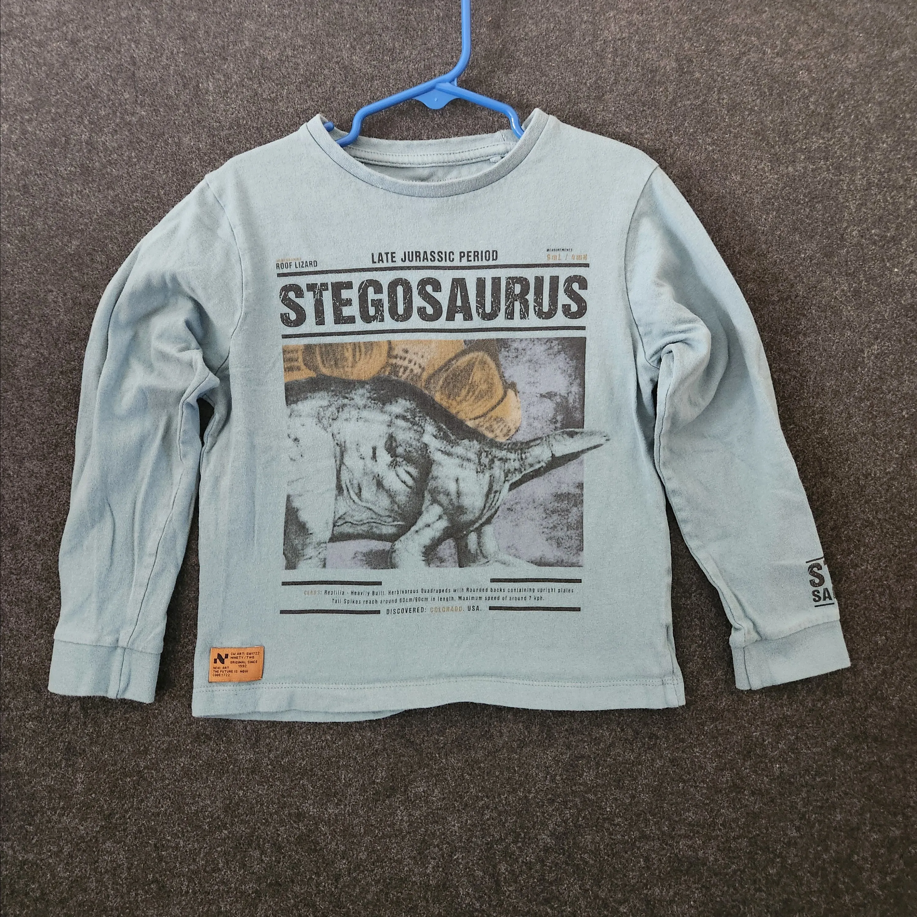Product image for Denim & Flower Stegosaurus LS Tee Size 5/6
