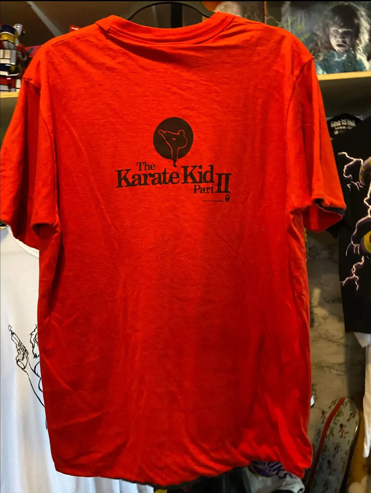 Product image for 🔥STUPID RARE🔥 JORDAN x KARATE KID reversible szXL