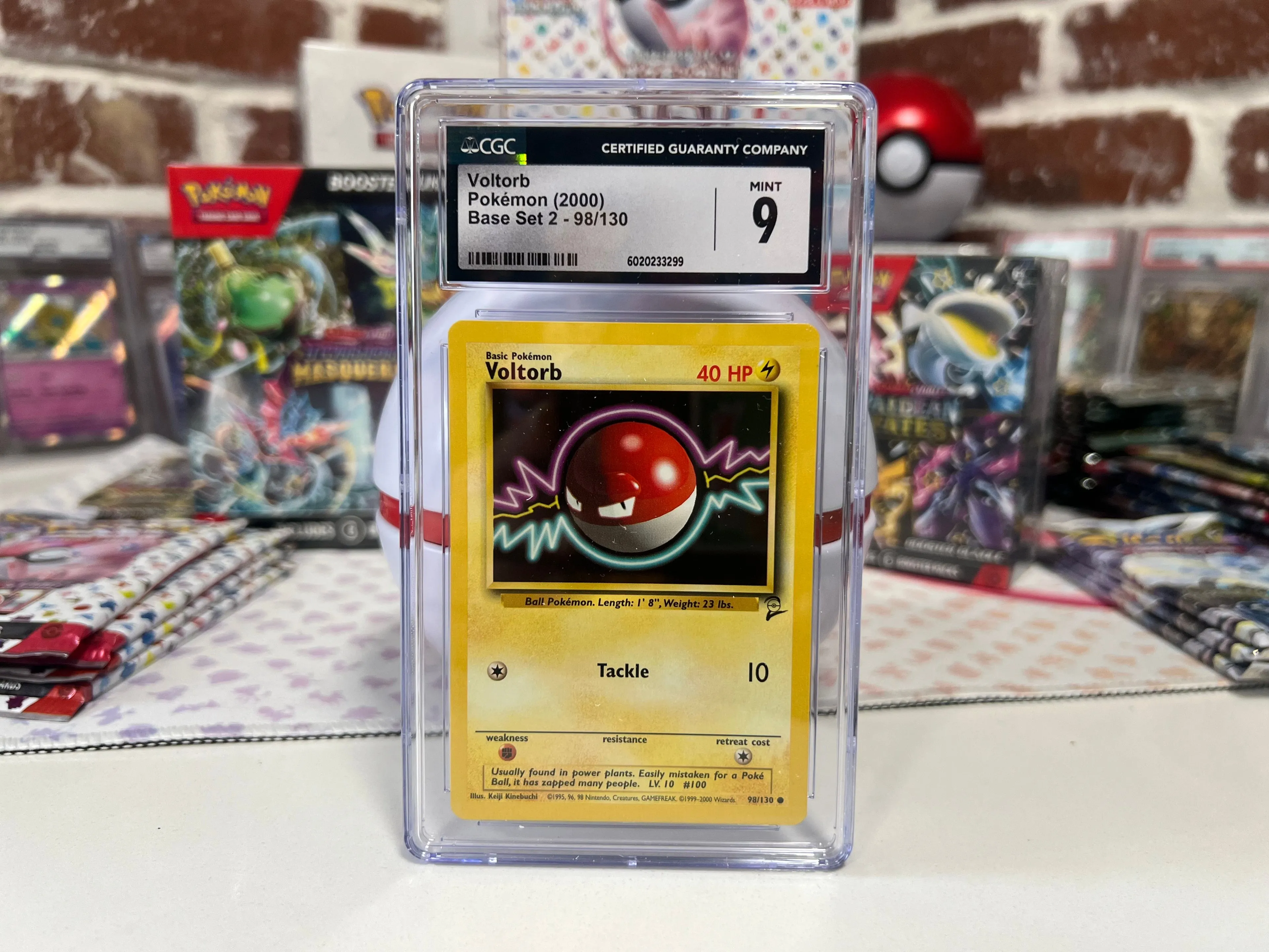 Product image for Pokémon Base Set 2 2000 Voltorb 98/130 Mint 9 TCG Vintage Pokemon