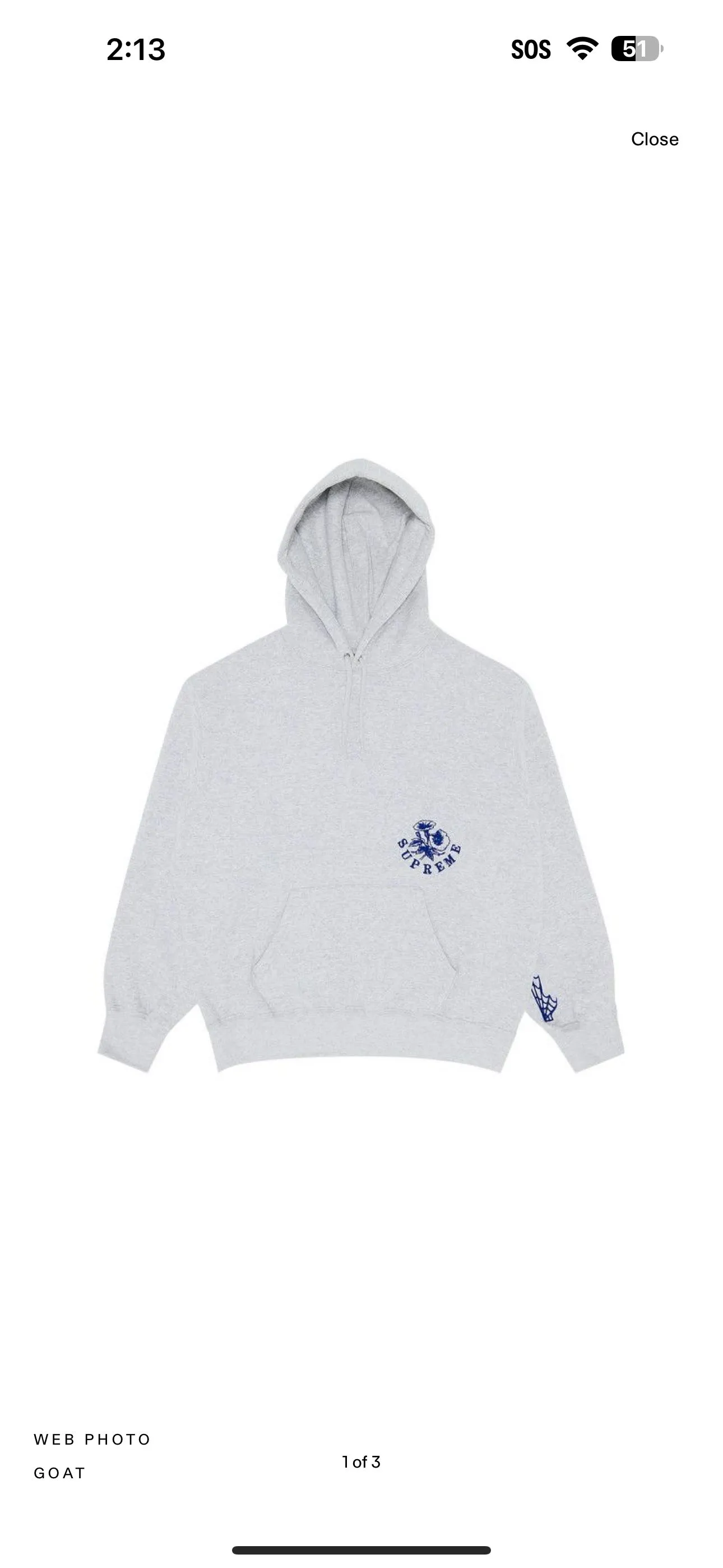 Product image for Supreme Wild Embroidered Hooded sweatshirt ash grey