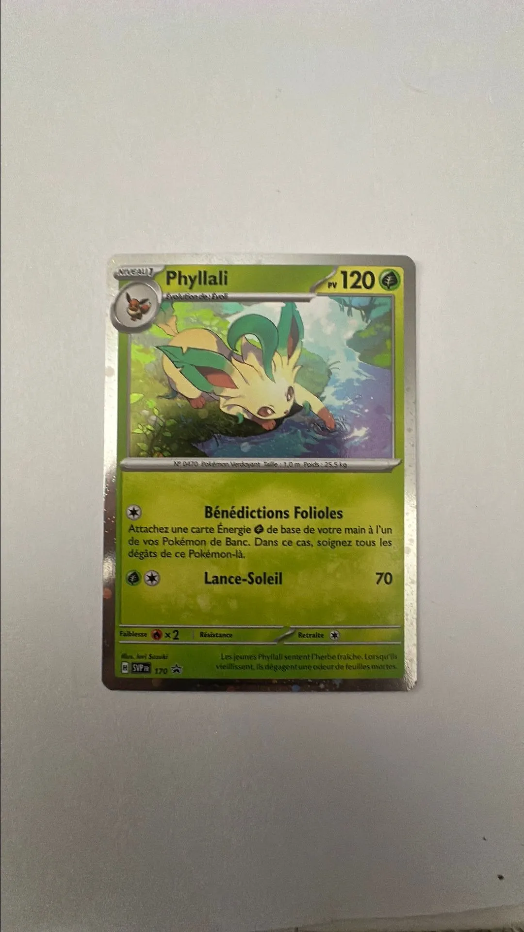 Product image for Phyllali Promo 170