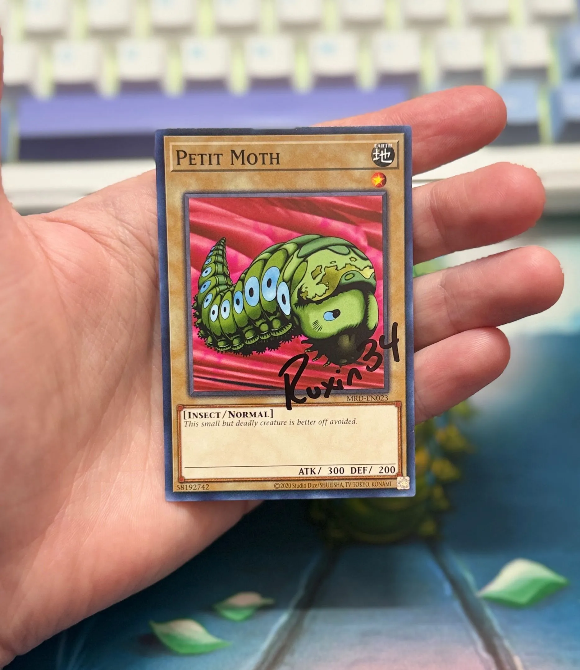 Product image for SIGNED - Petit Moth