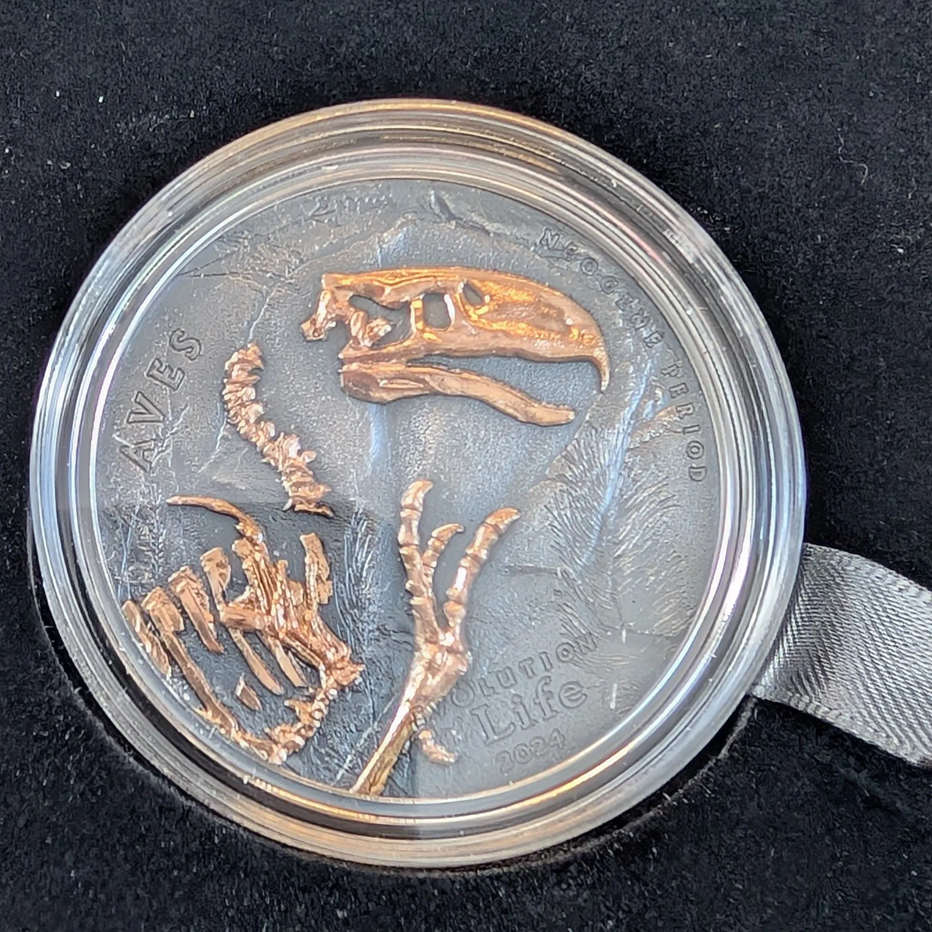 Product image for 2024 Mongolia CIT Evolution of Life Aves Phorusrhacidae 1 oz Silver Antiq. Coin with Gold Accents
