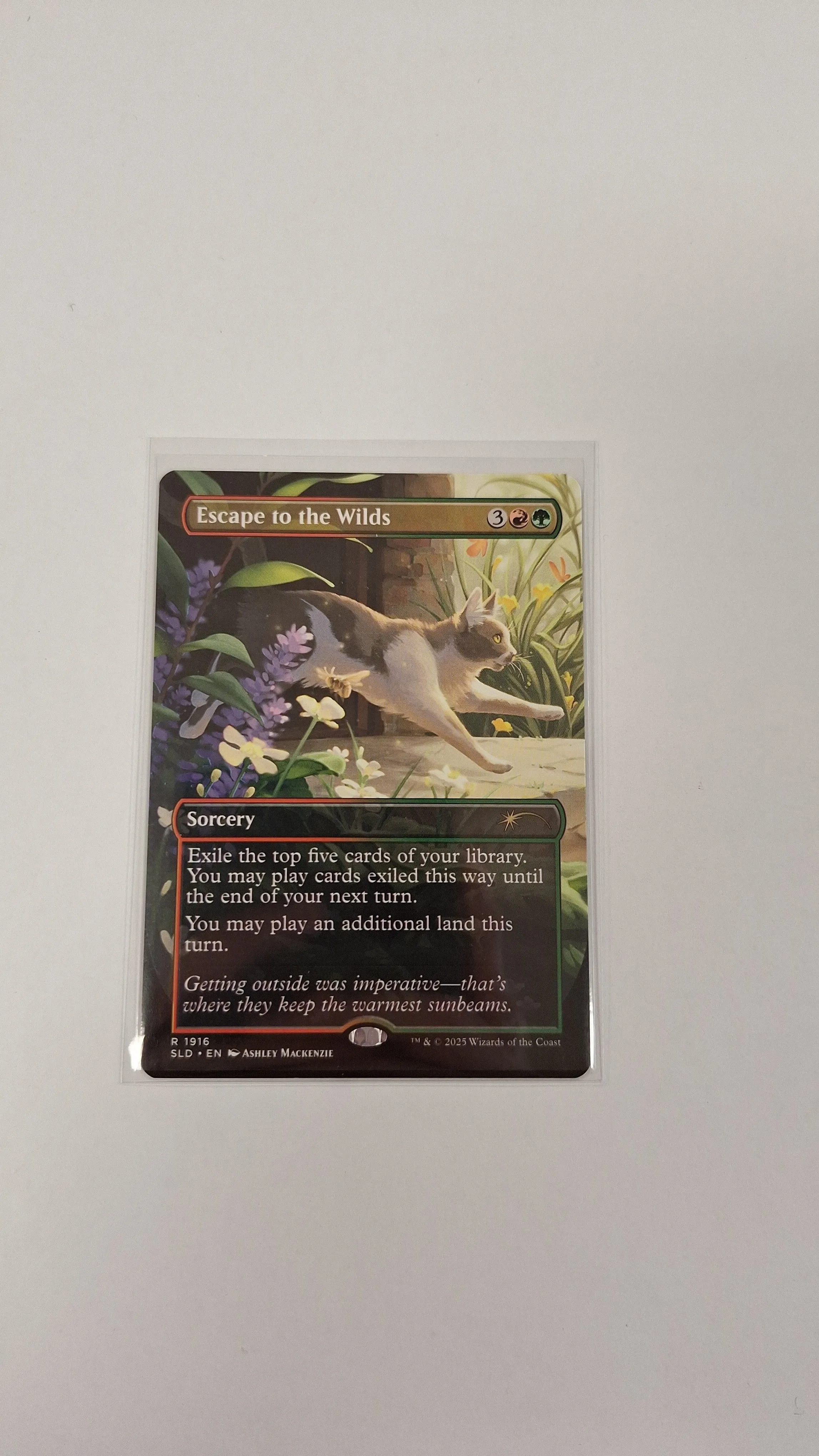 Product image for Escape to the Wilds
