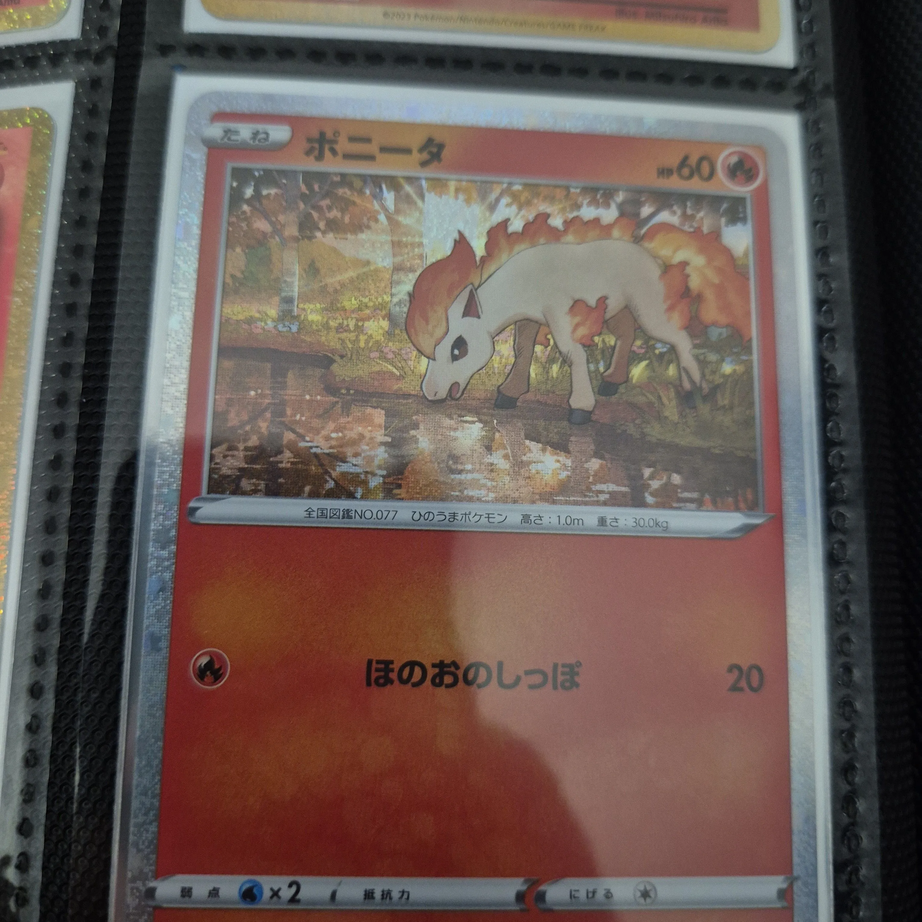Product image for Ponyta