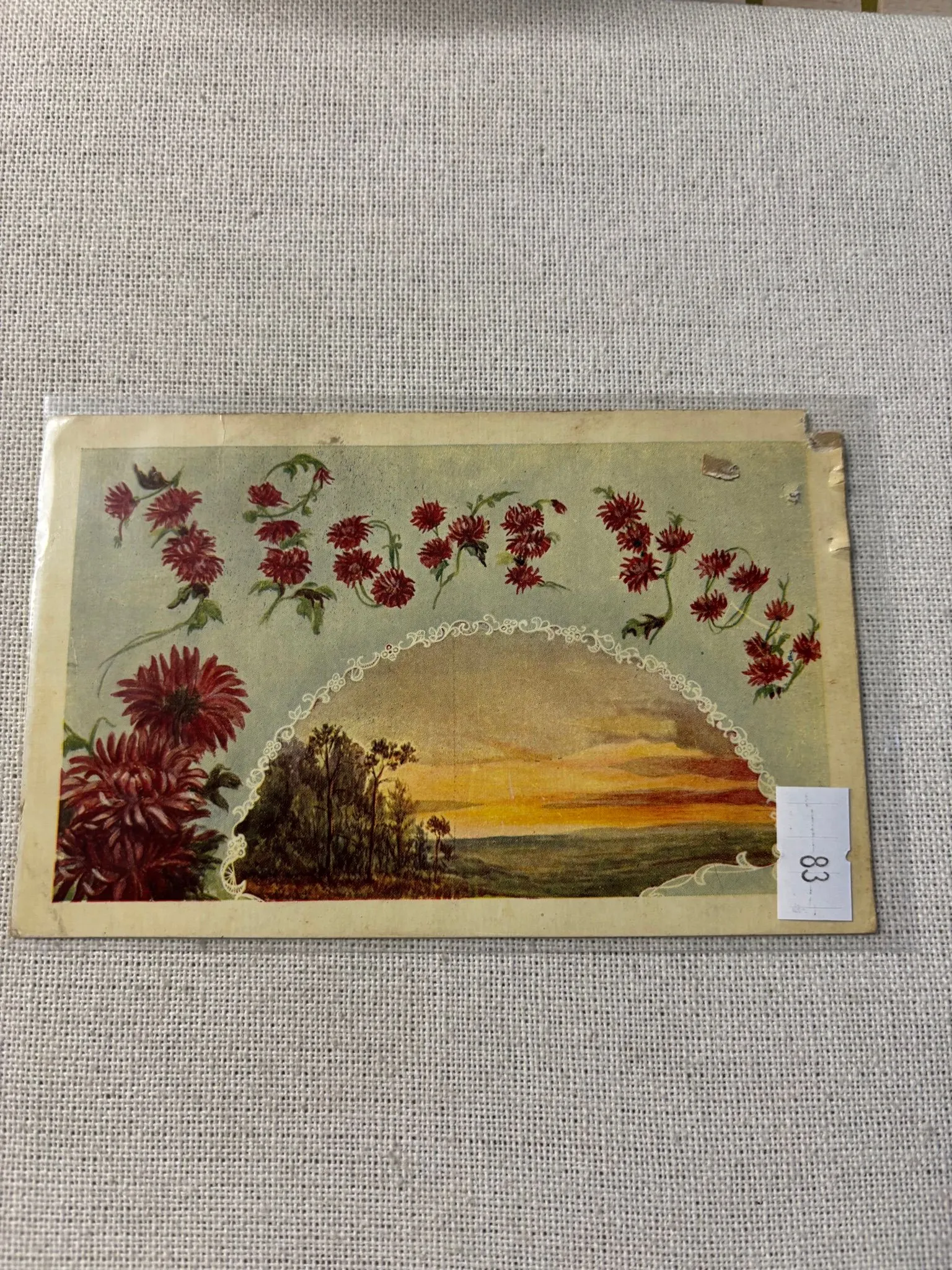 9fdc20c8-e214-44b7-b93d-58ef86a06d95