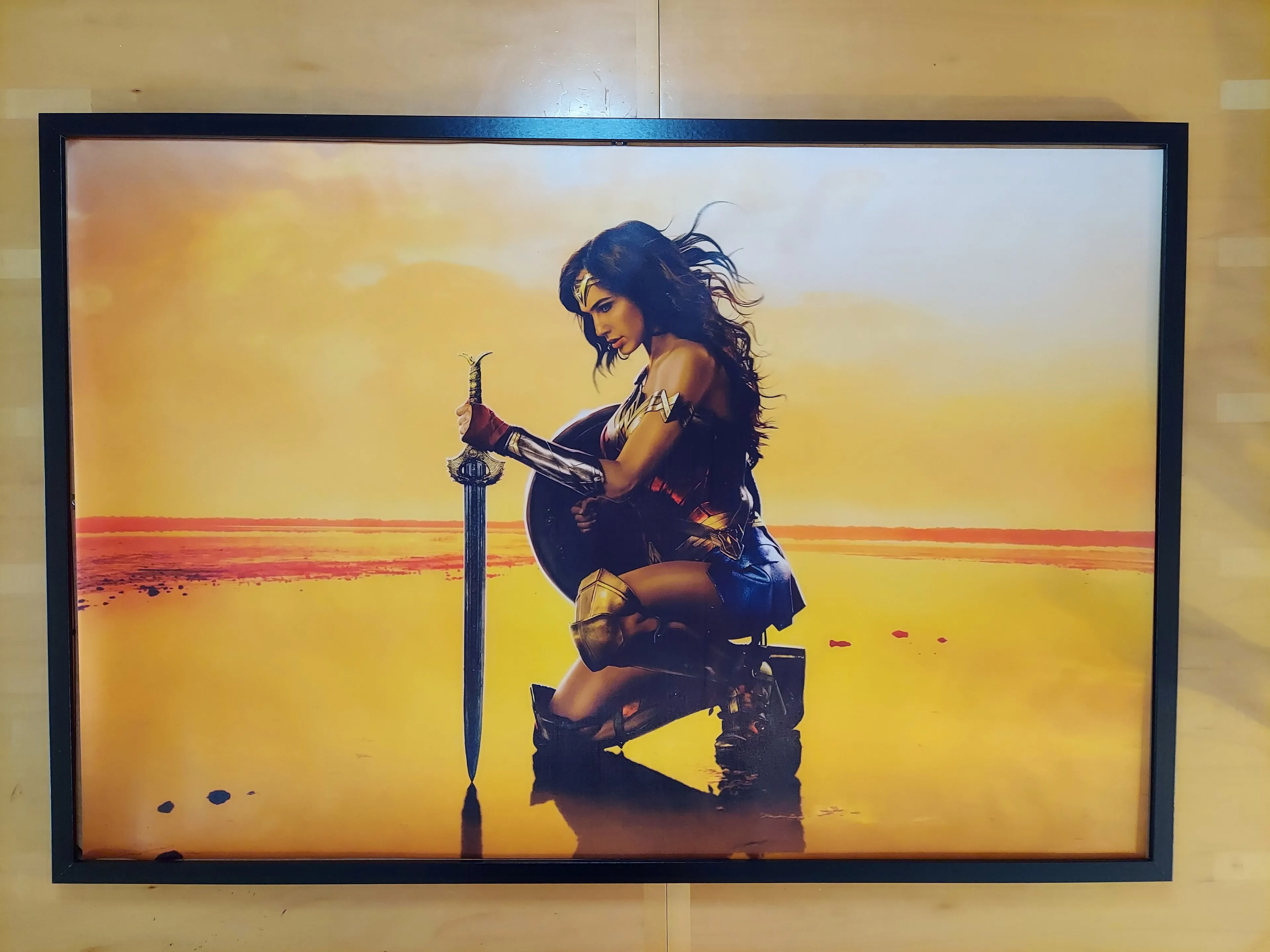 Product image for Wonder Woman silk canvas Fabric Poster (36" x 24")