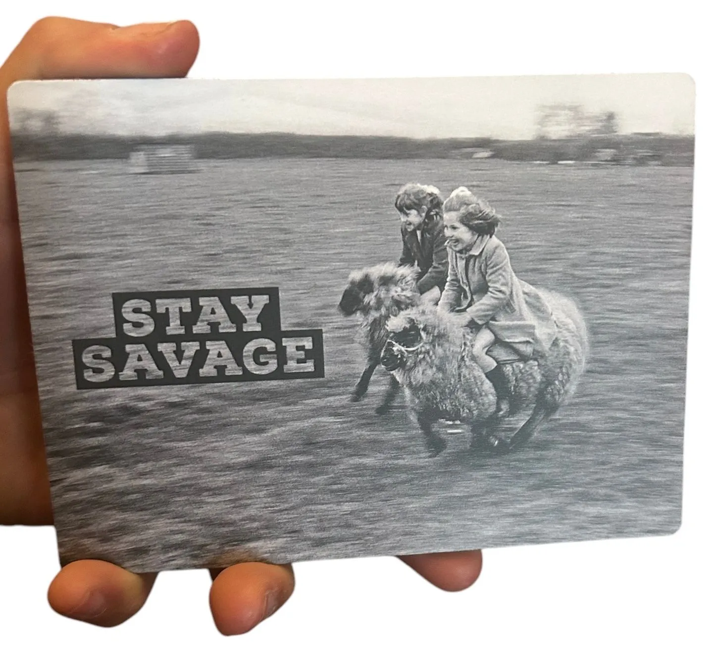 Product image for BIN* Stay Savage Magnet