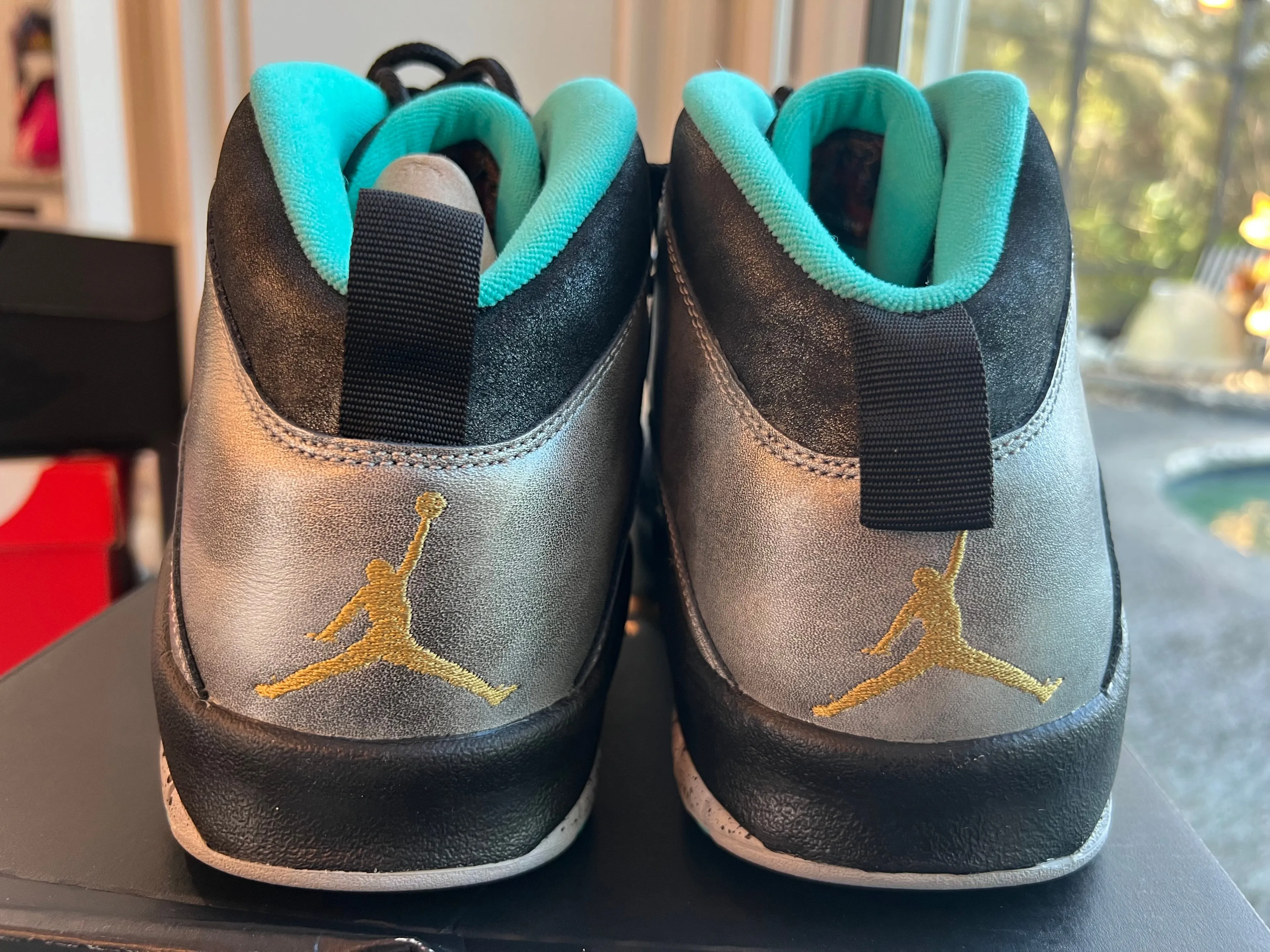 Product image for Jordan 10 Lady of Liberty Size 12