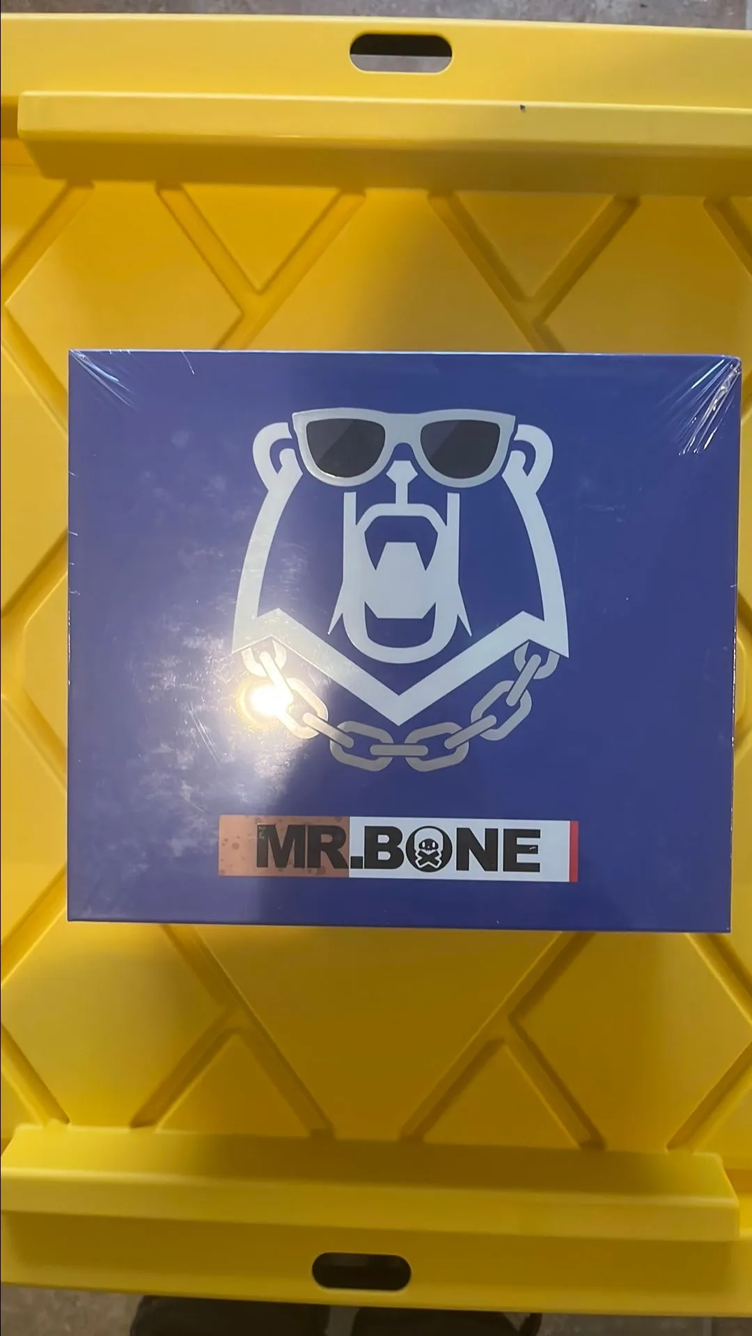 Product image for MR.Bone Silver Bear Action Figure, Unopend