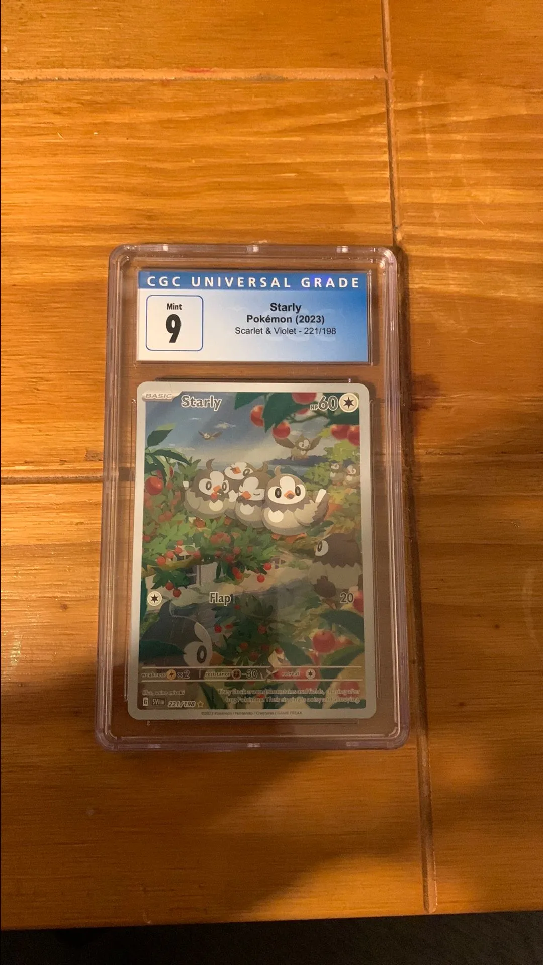 Product image for CGC 9 Starly Scarlet & Violet Base