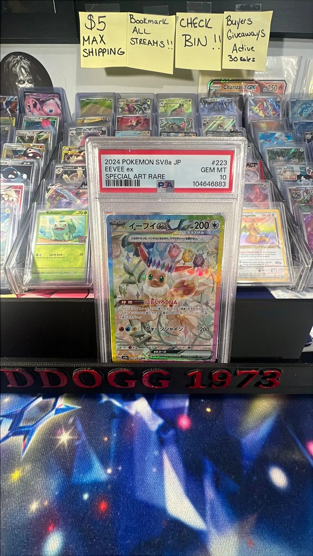 Product image for EEVEE GEM MINT 10 PSA 223/187 SAR