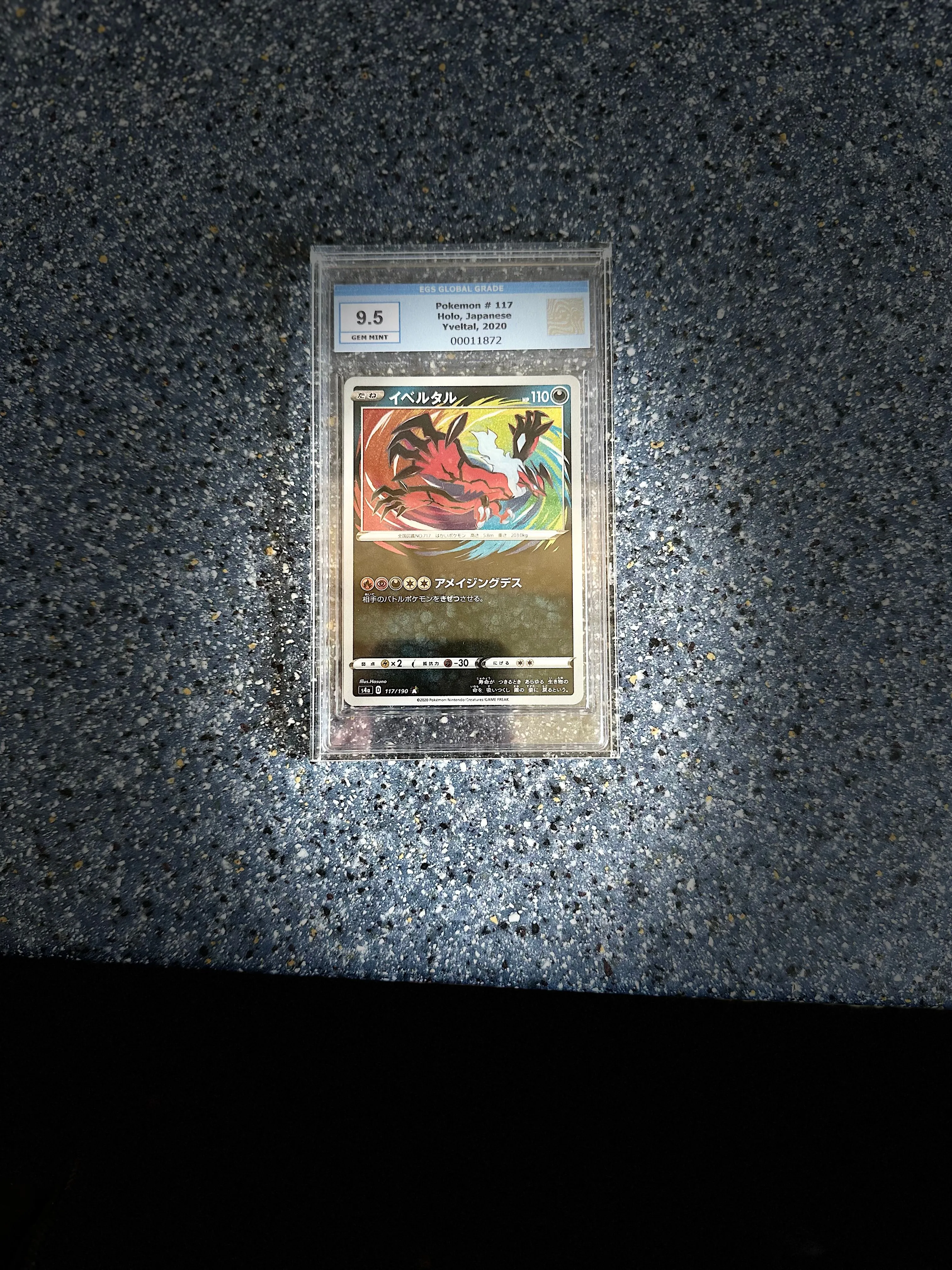 Product image for EGS Grading 9,5