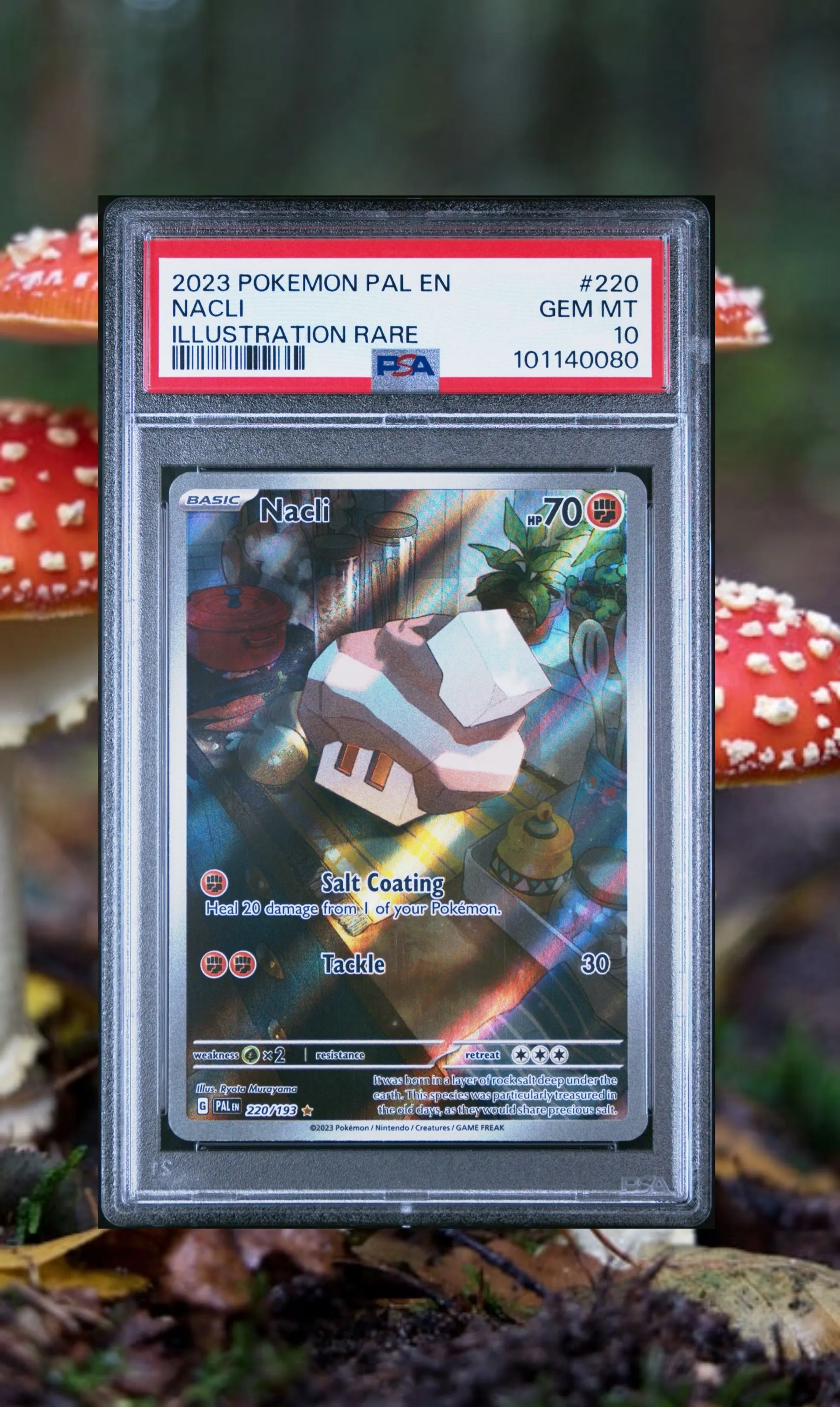 Product image for 2023 Pokémon Paldea Evolved Nacli Illustration Rare