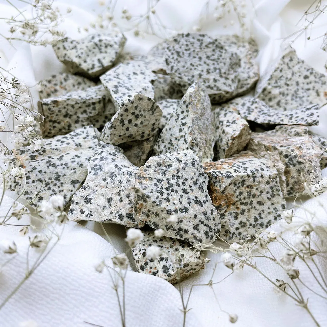 Product image for Raw Dalmation Jasper