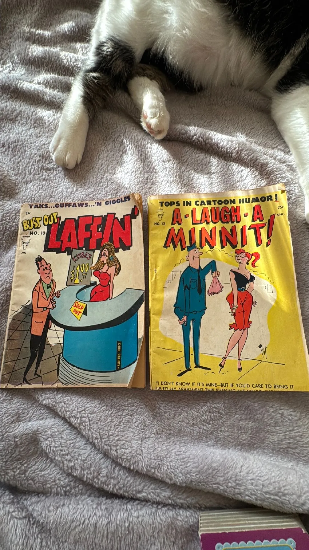 Product image for 2 Vintage raunchy joke books.
