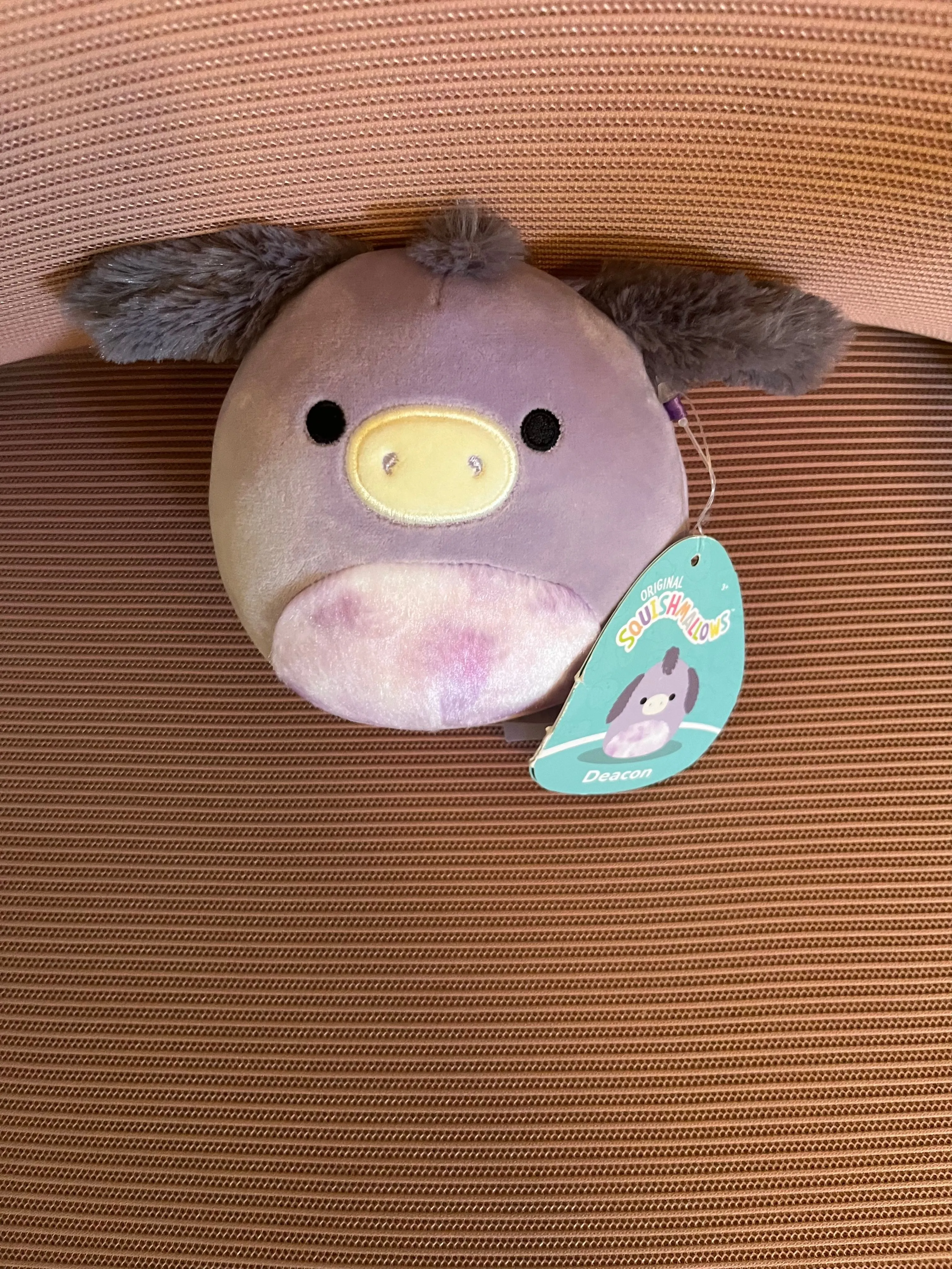 Product image for Squishmallow named Deacon